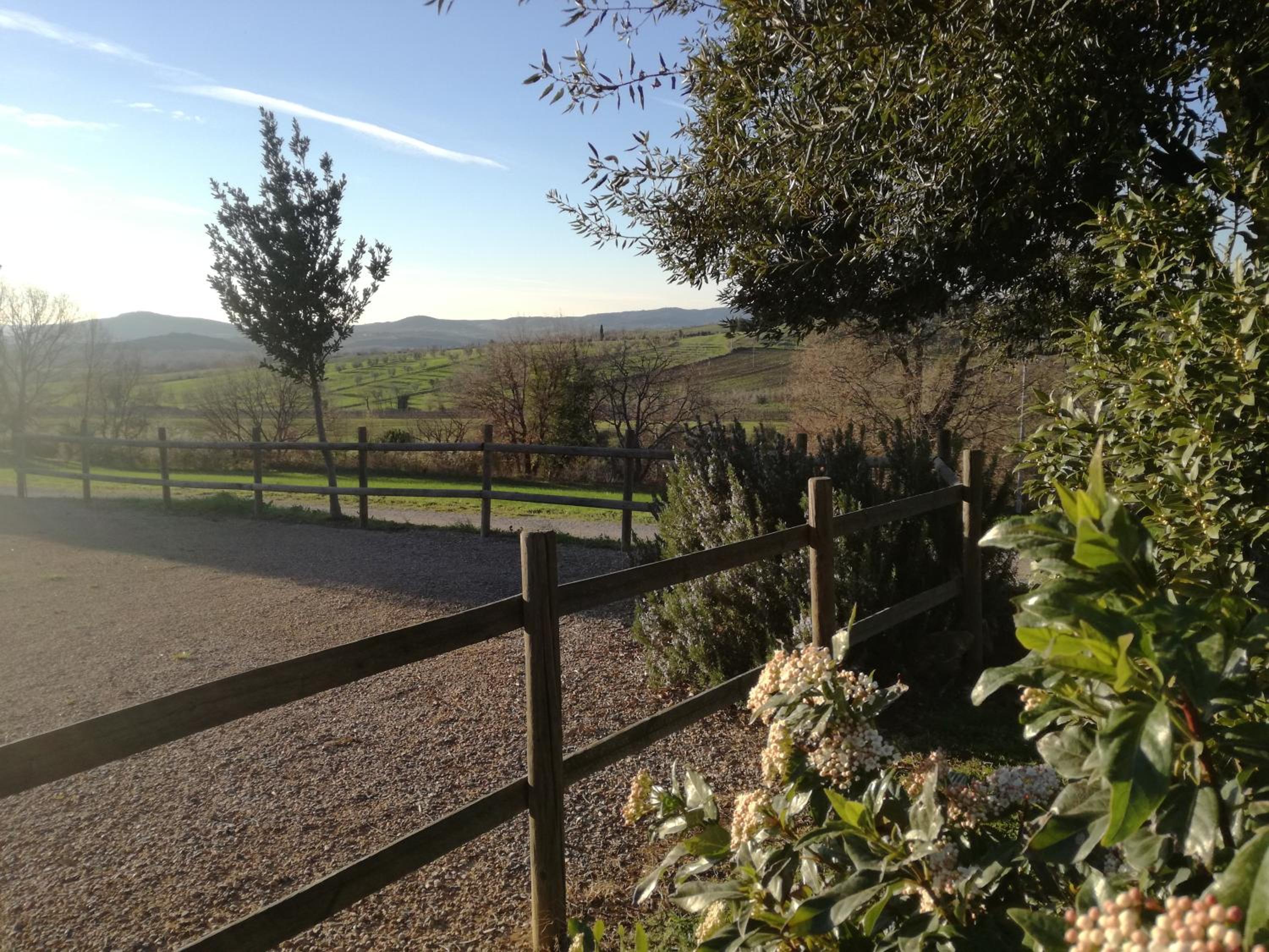Agriturismo Podere Selvette view 5