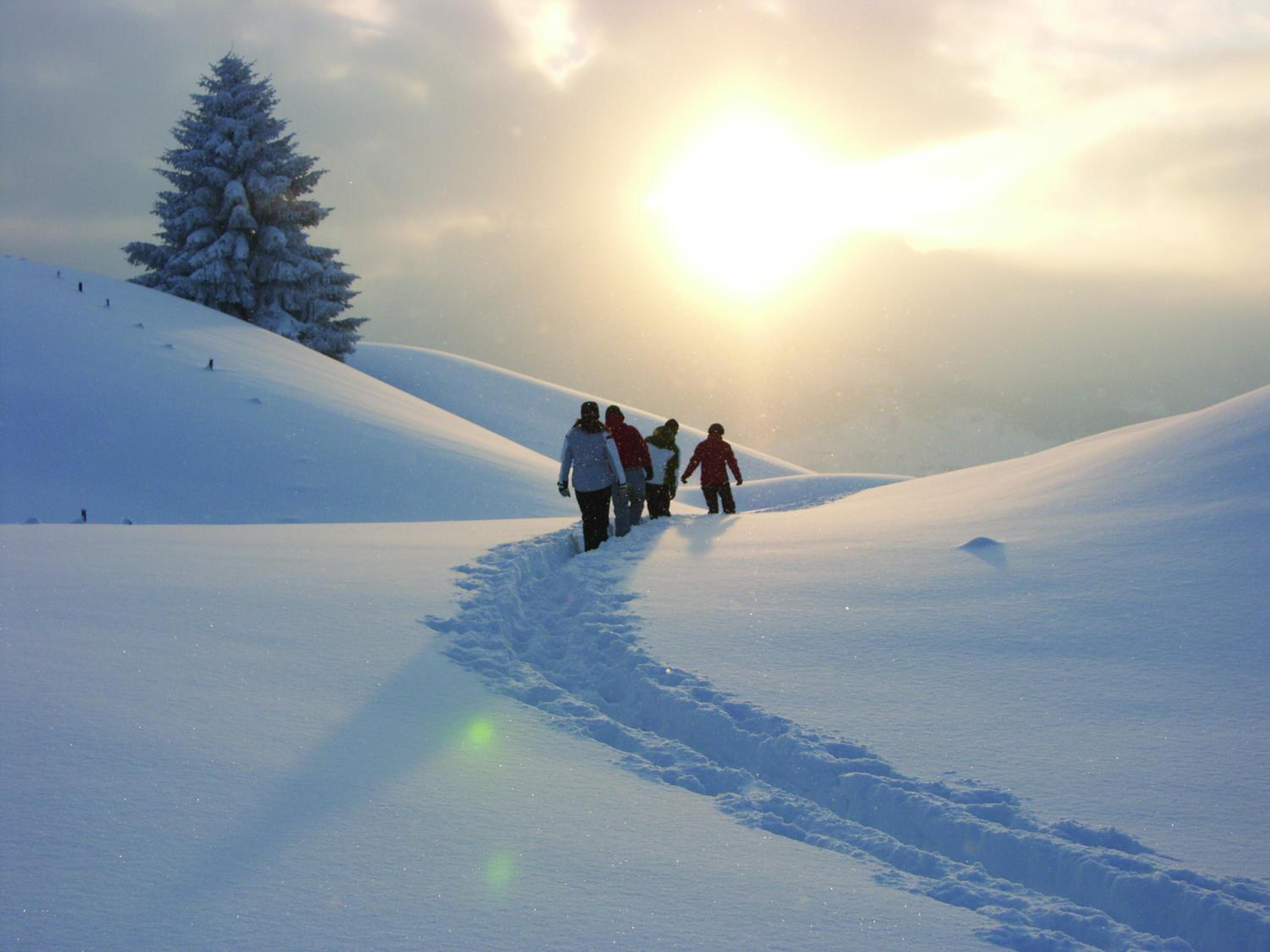 Alp-Chalet
