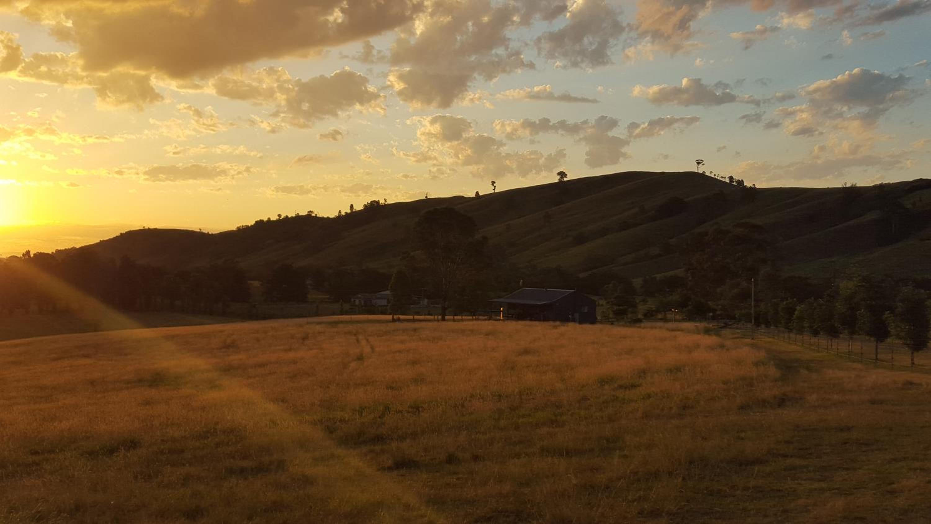 The Wattle Lodge