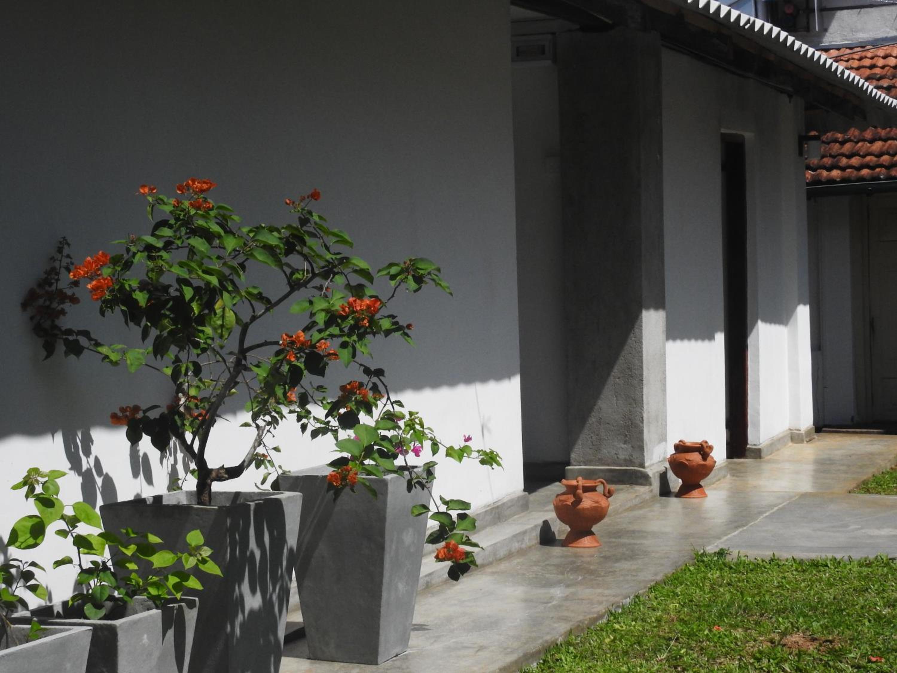 Wattarantanne homestay