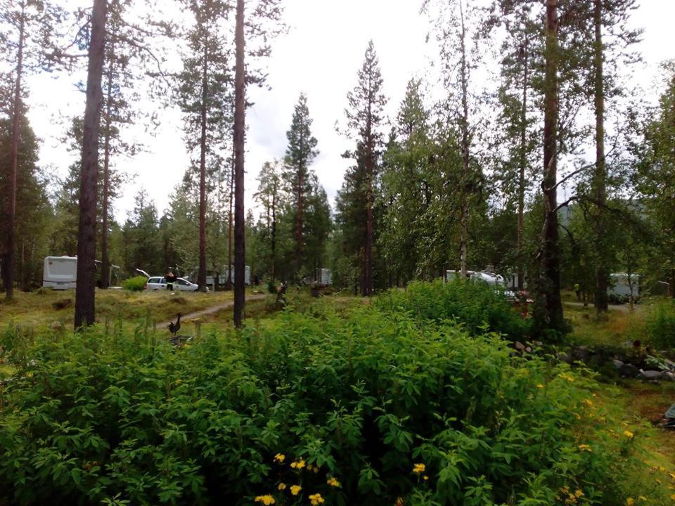 Kyrön Loma