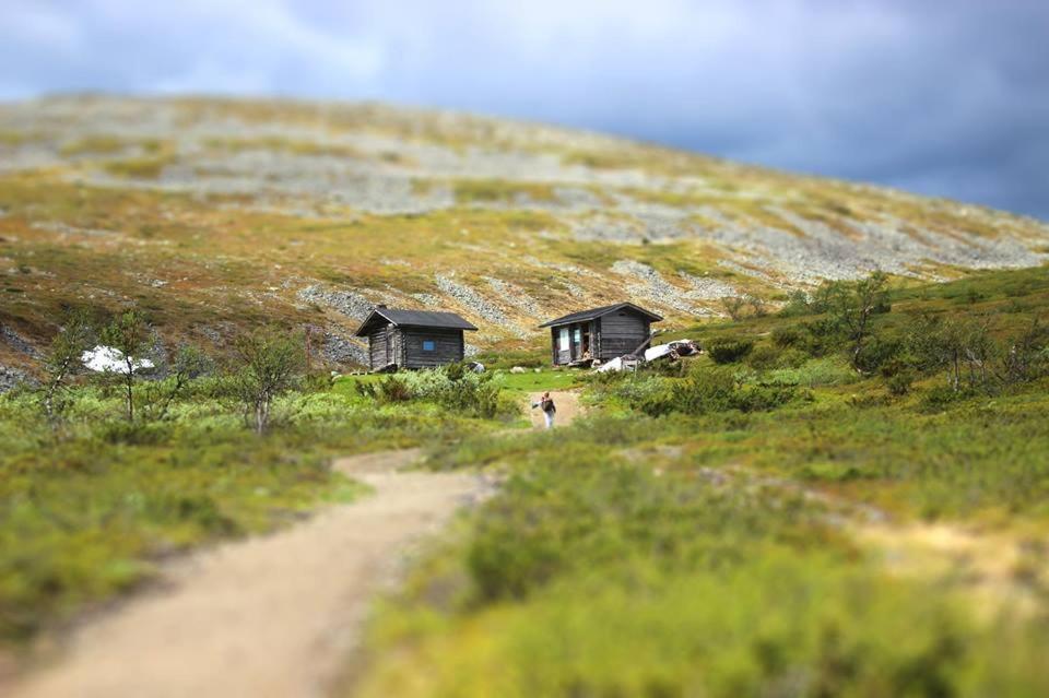 Kyrön Loma
