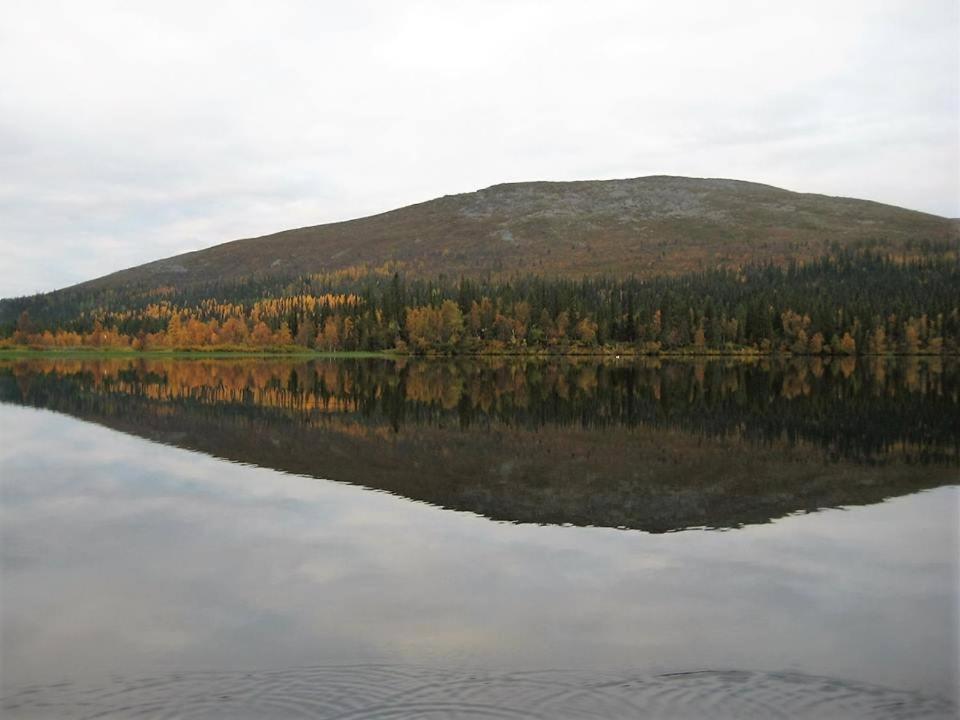 Kyrön Loma
