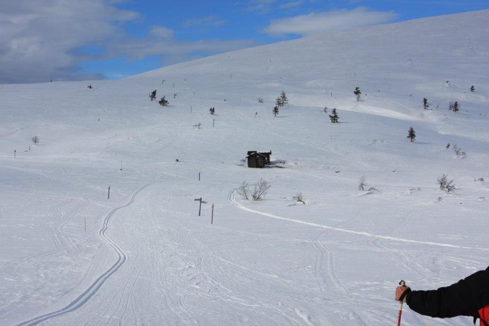 Kyrön Loma
