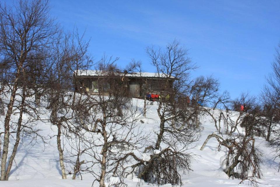 Kyrön Loma