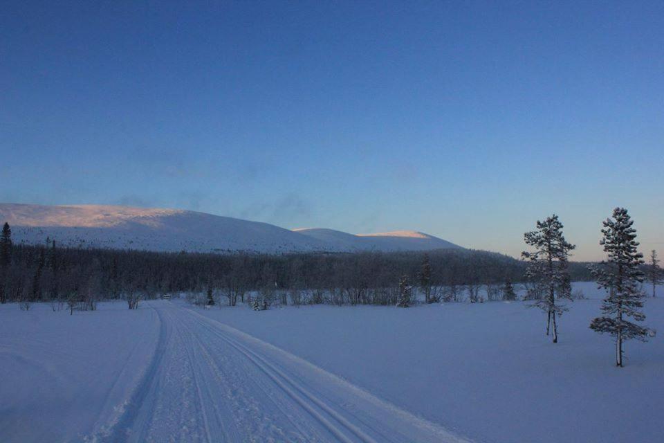 Kyrön Loma