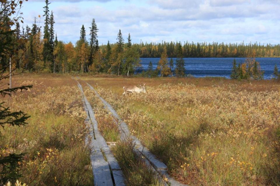 Kyrön Loma