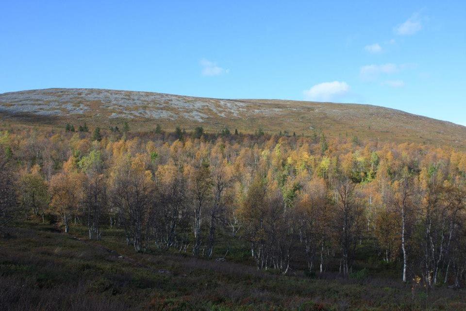 Kyrön Loma