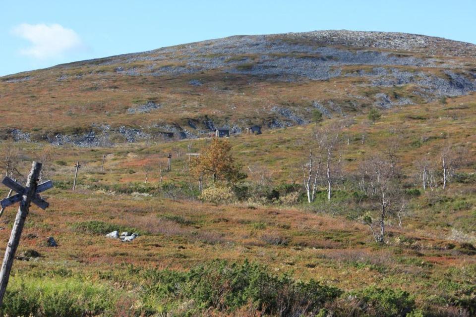 Kyrön Loma