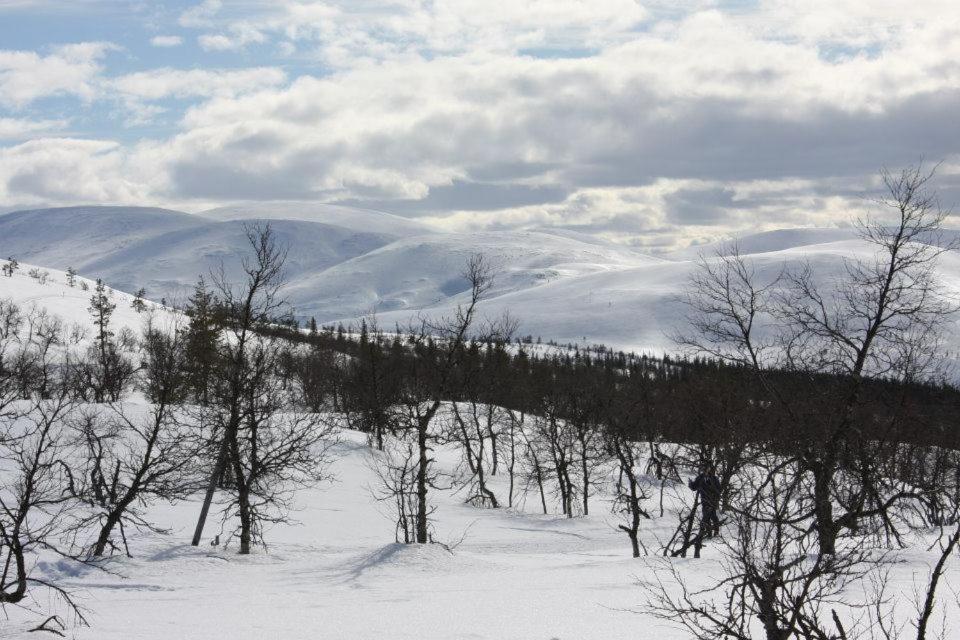 Kyrön Loma