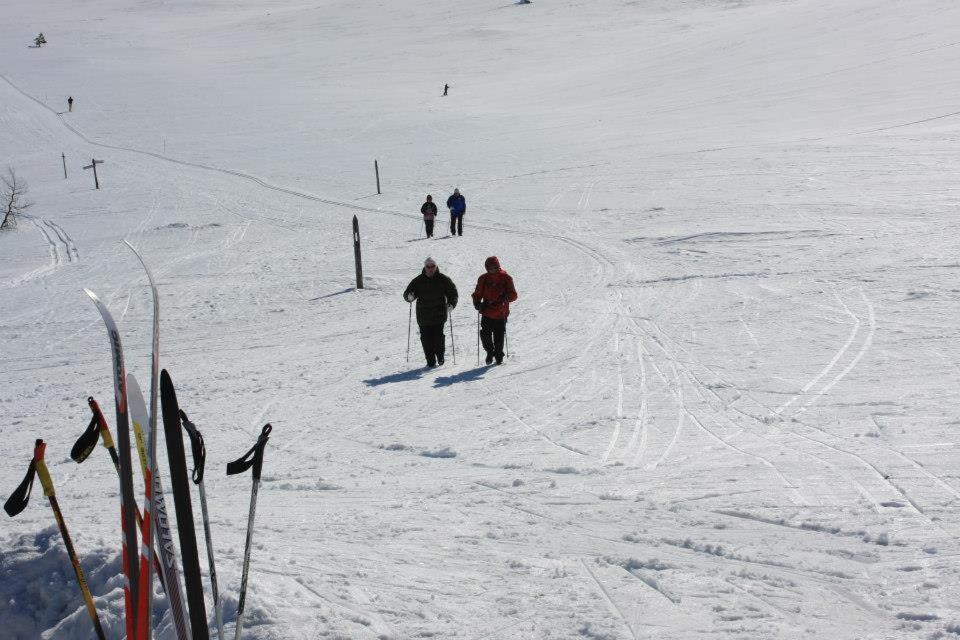Kyrön Loma