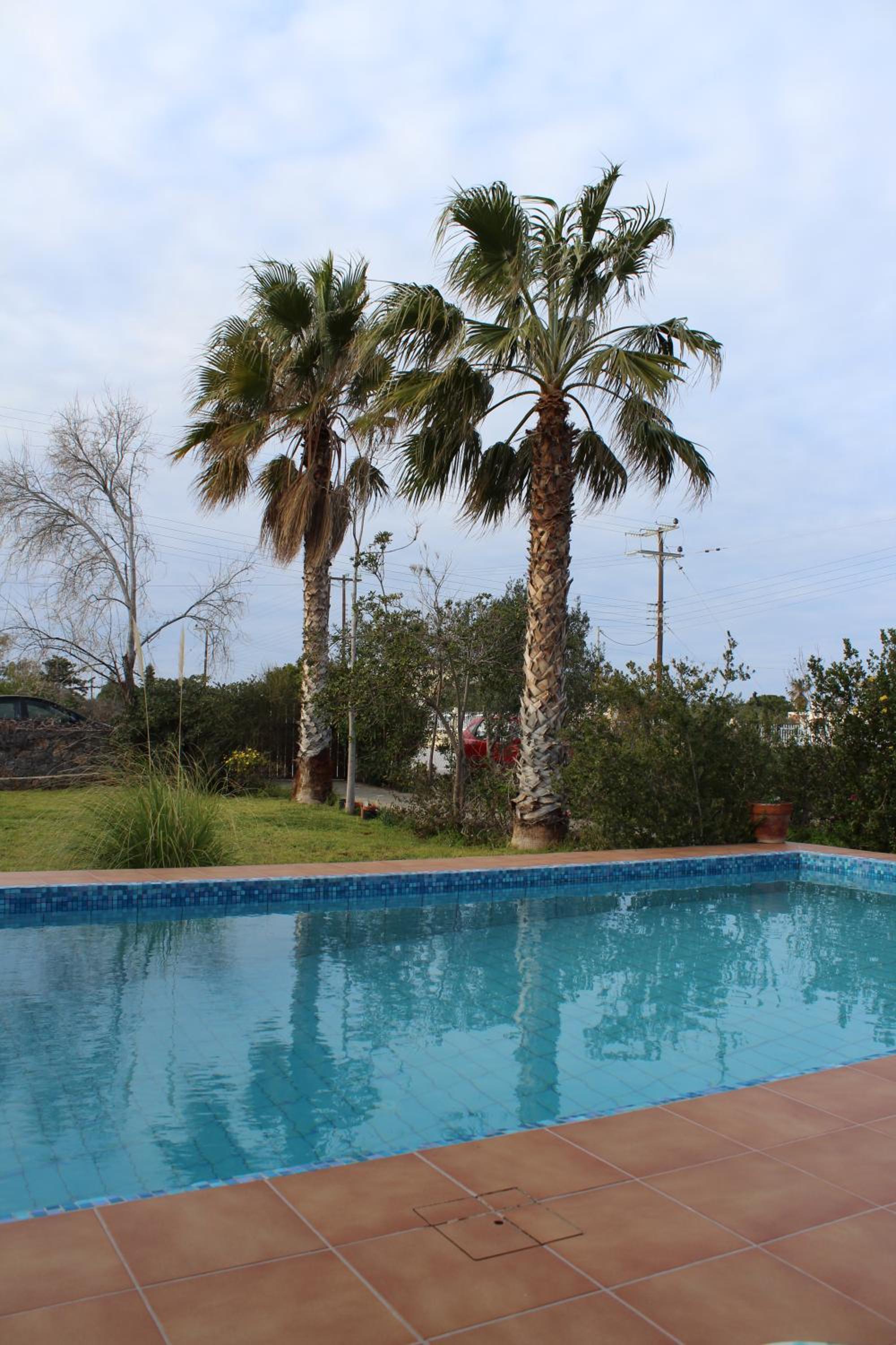 Felia Villa — photo 4