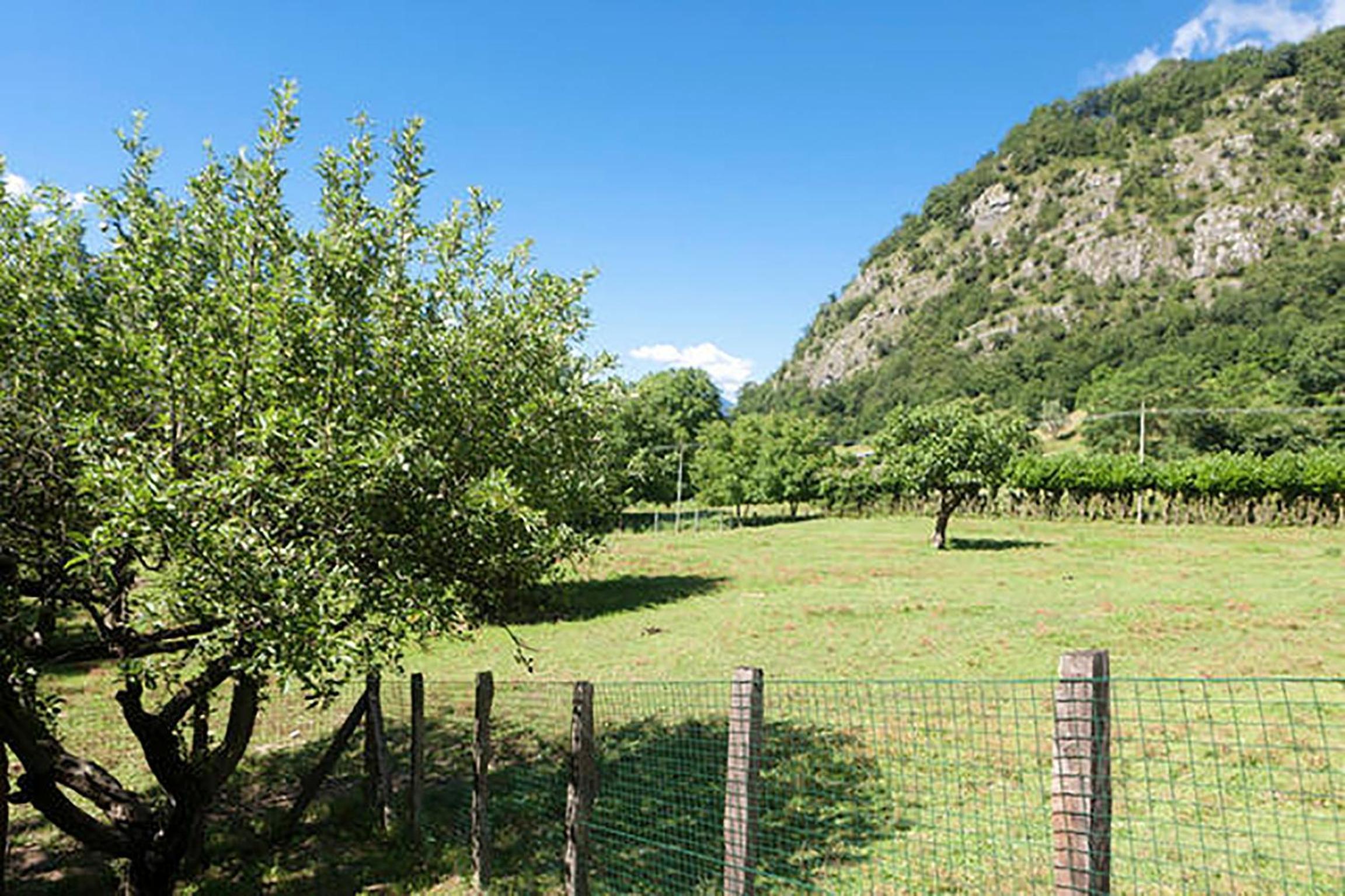Podere Brughee