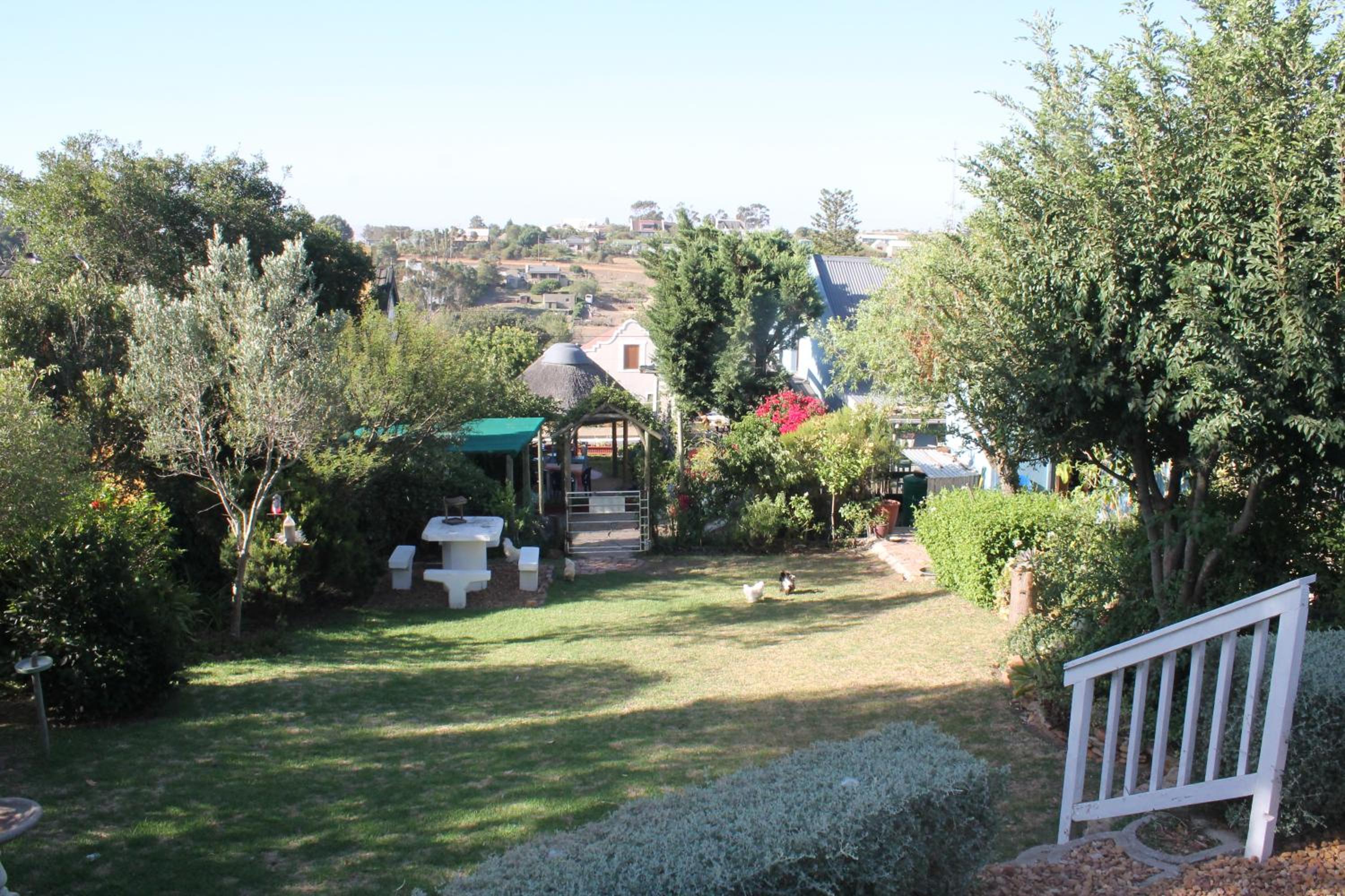 Photo 25