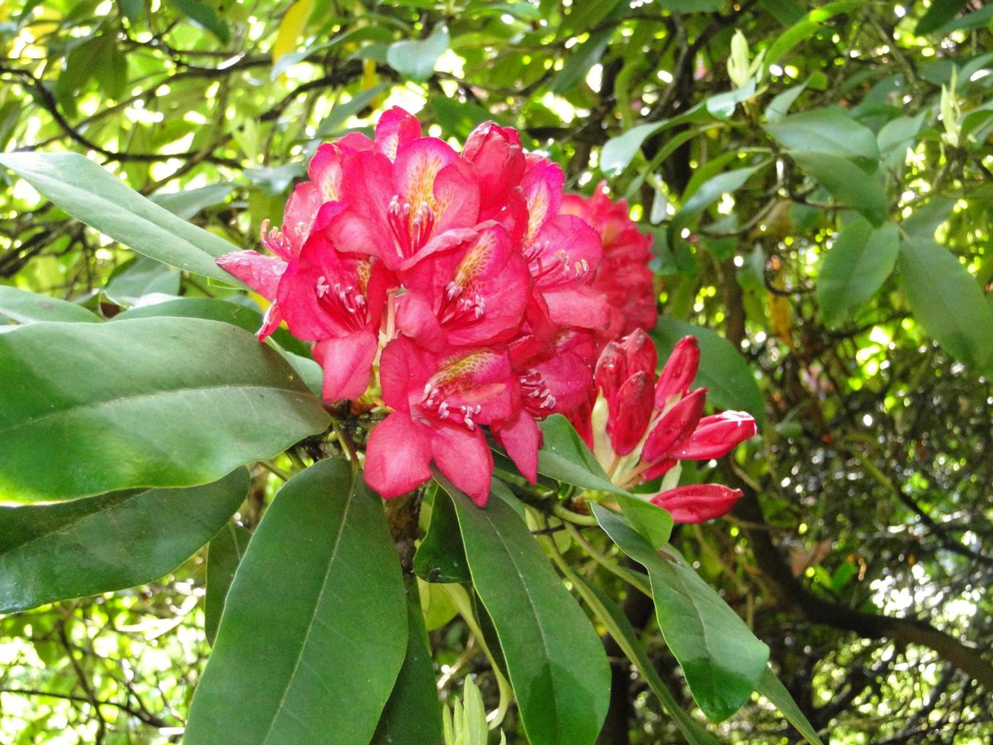 Photo 42