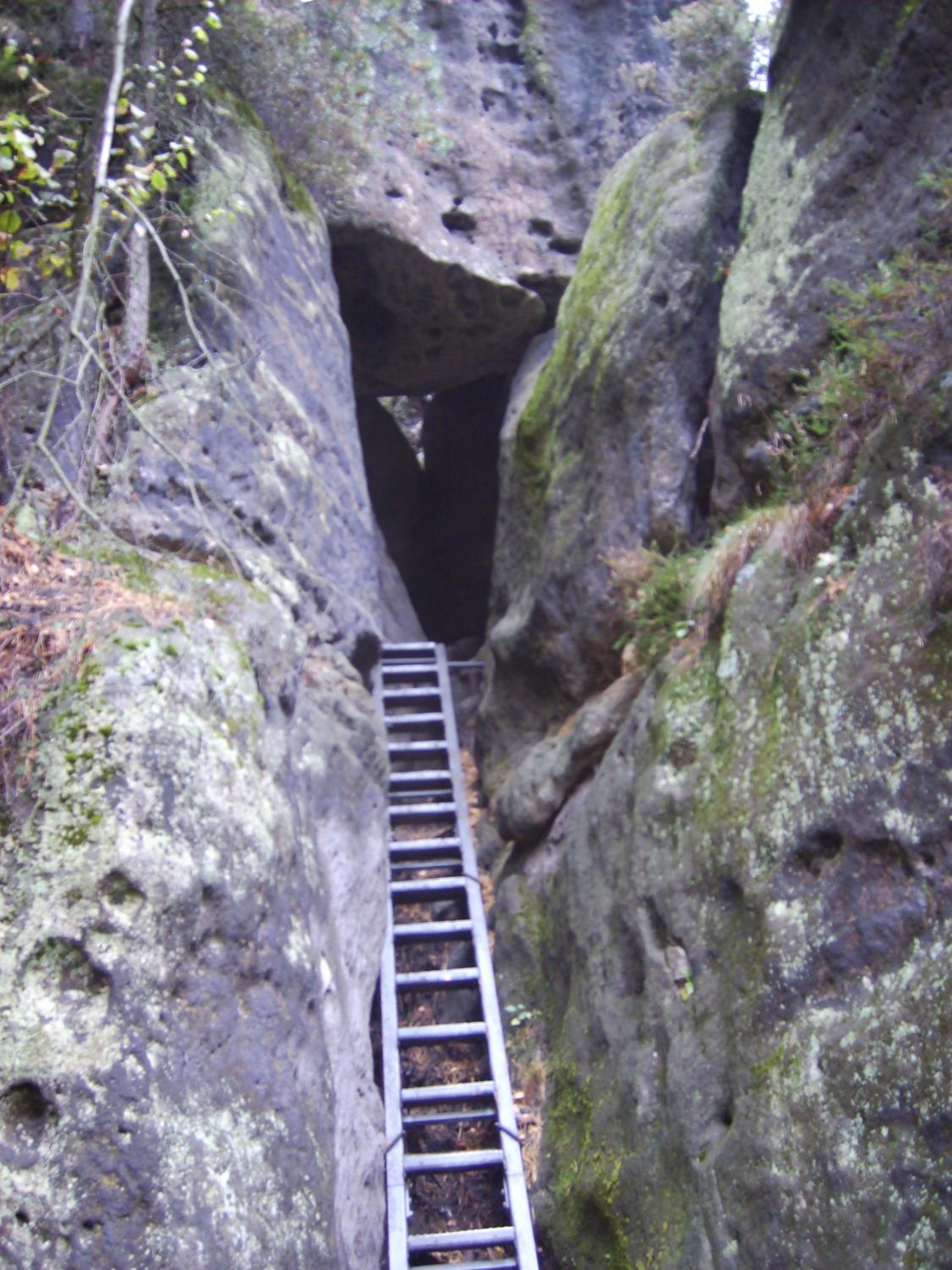 Photo 41