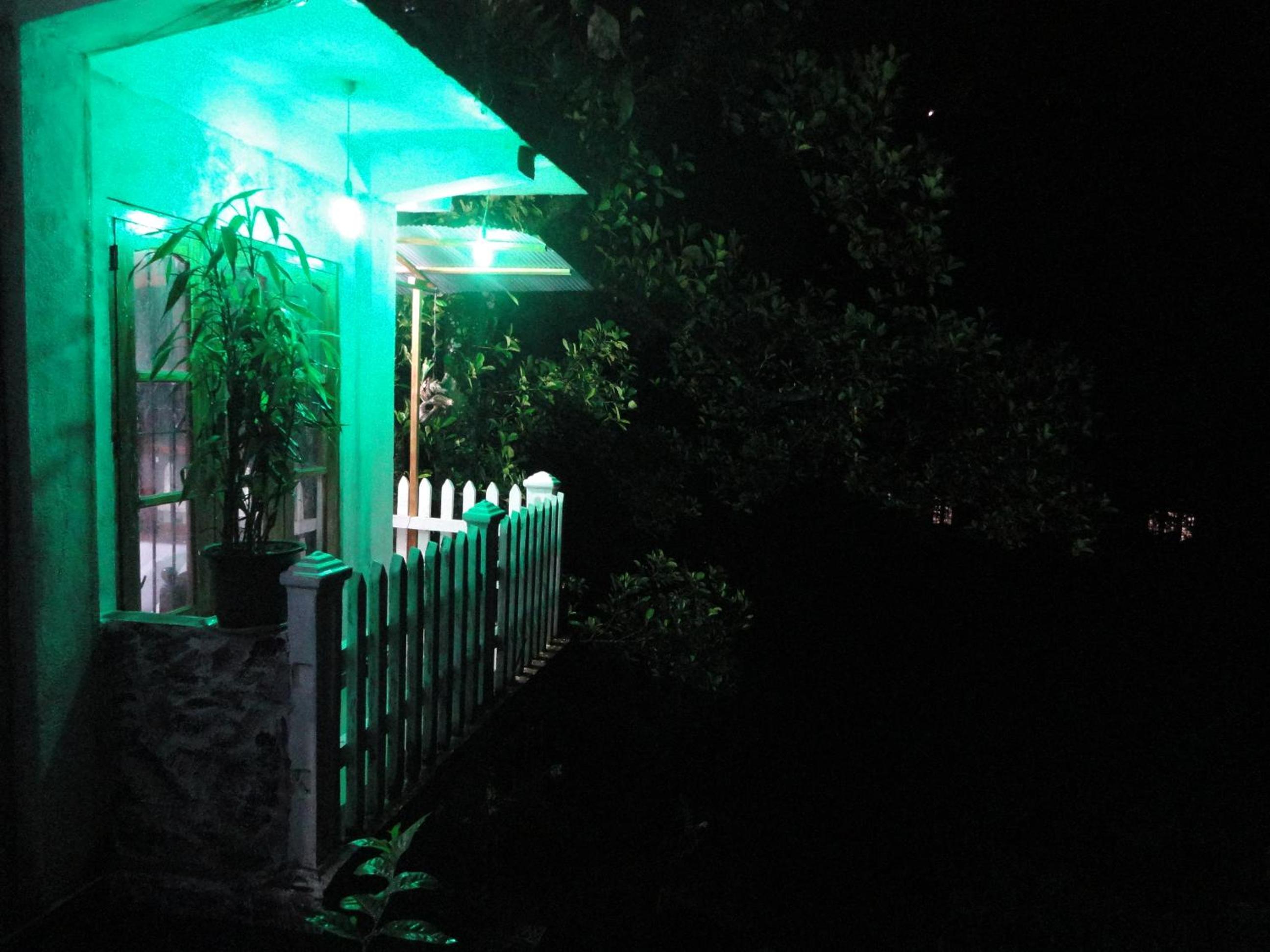 Photo 50