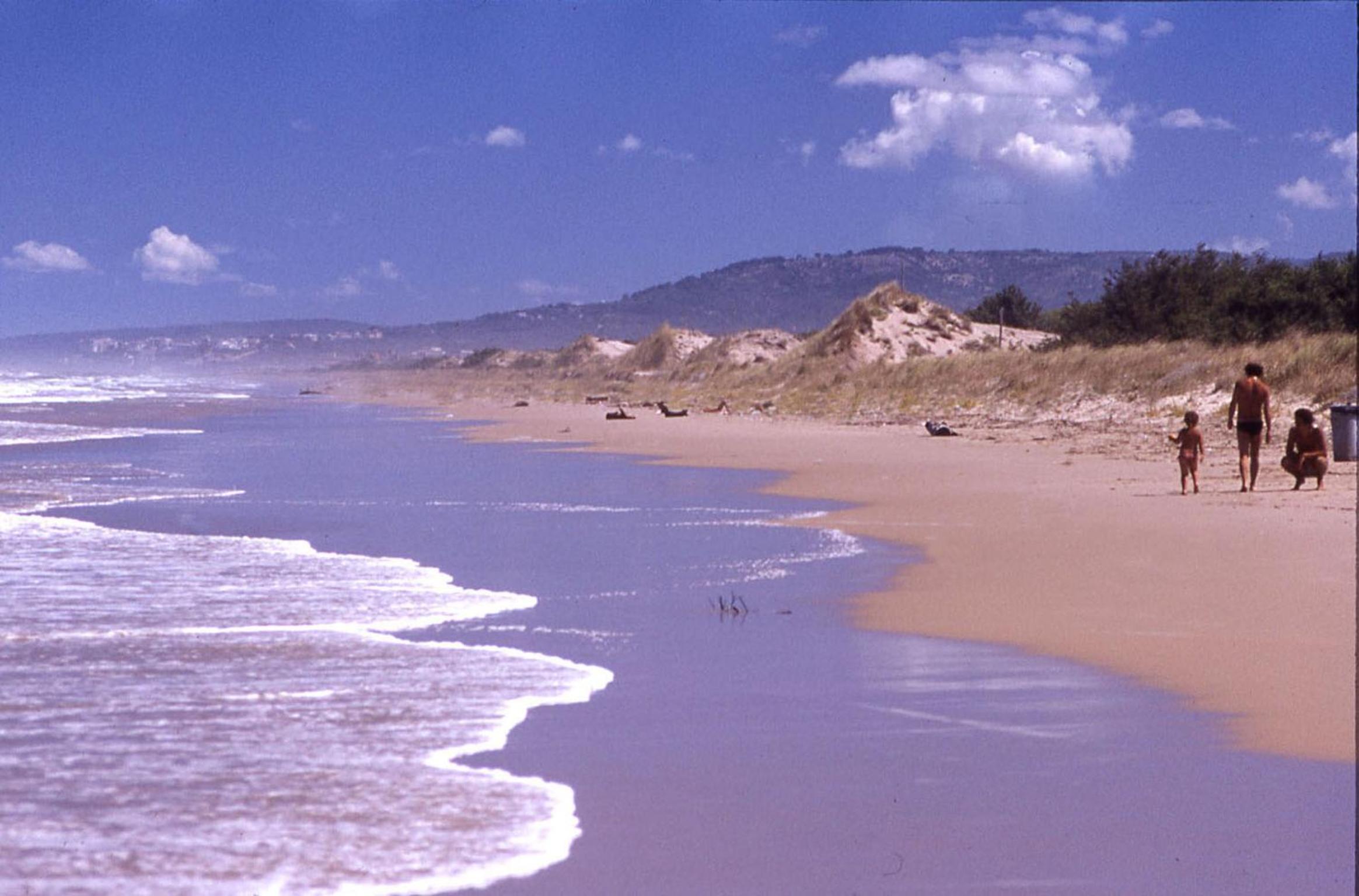 Photo 47