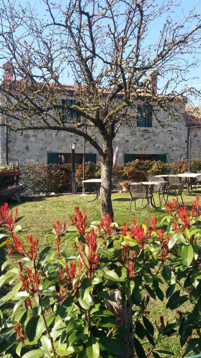 B&B La Casa Del Riccio