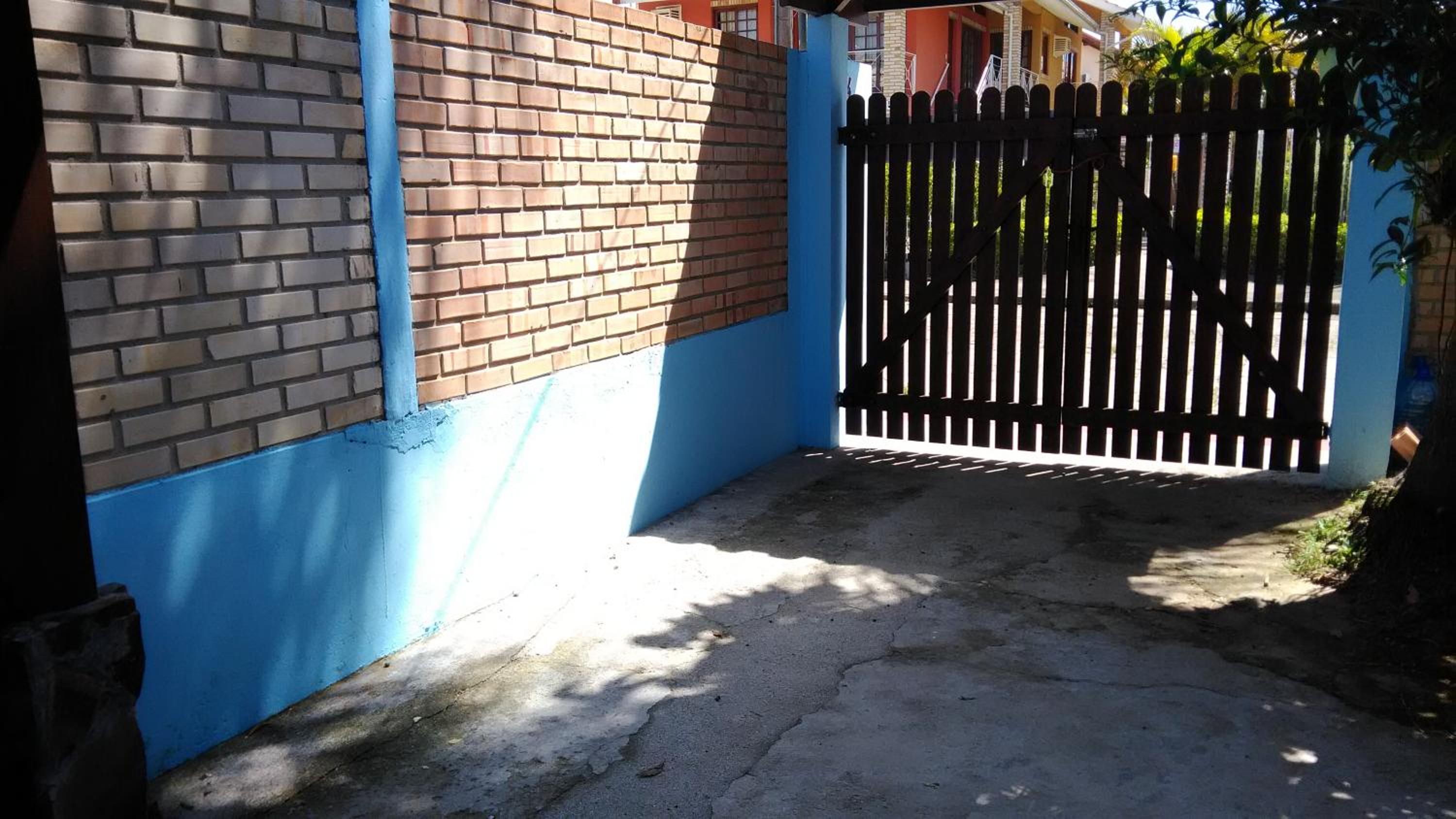 Tartaruga Azul