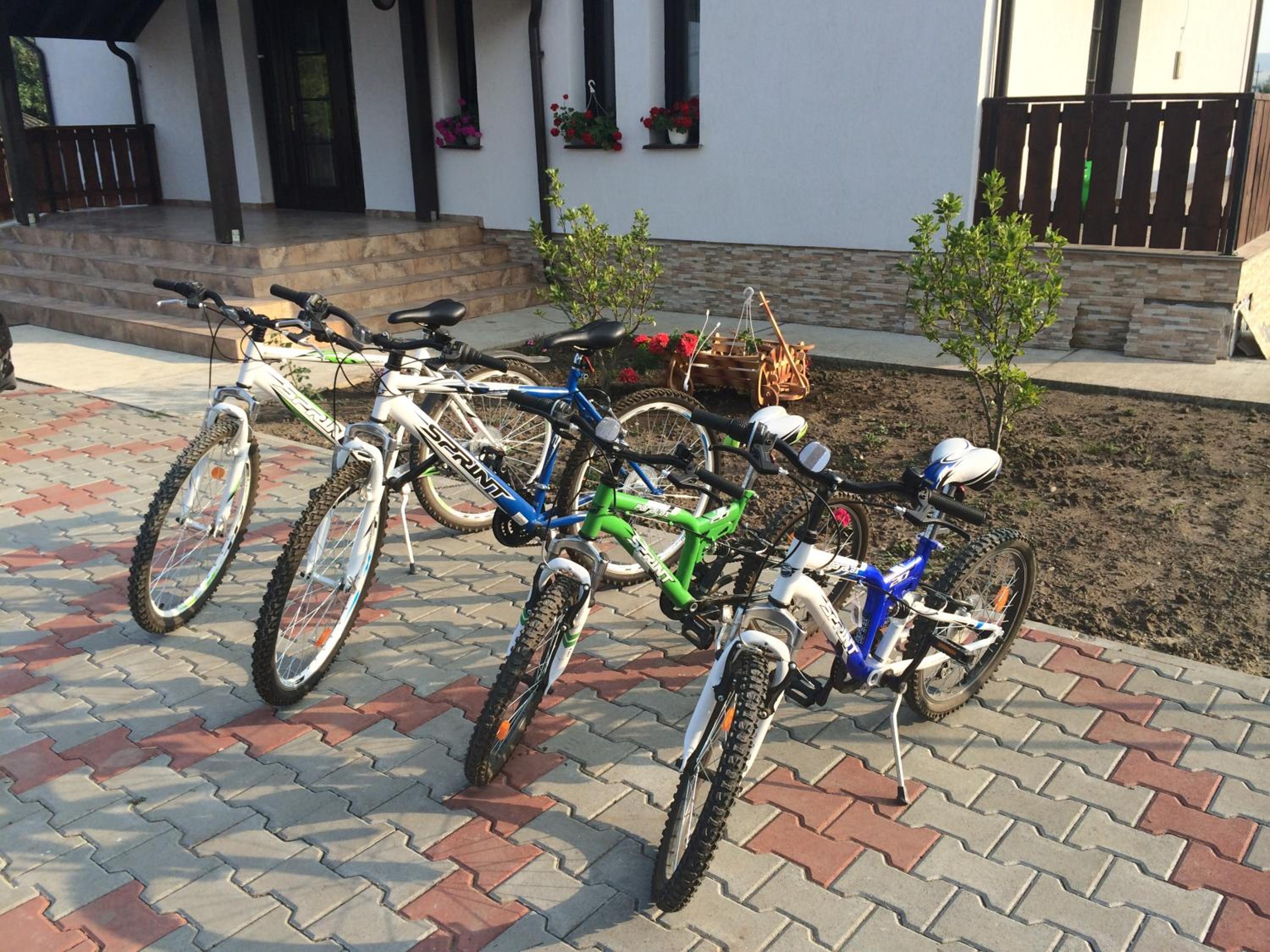 Photo 25