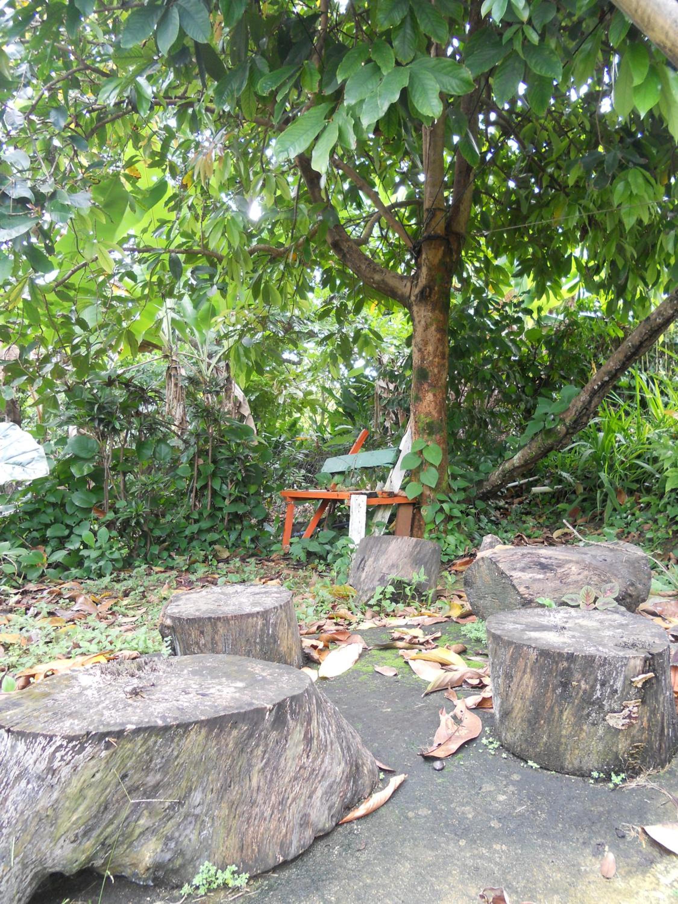 Photo 7