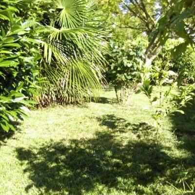 Photo 39