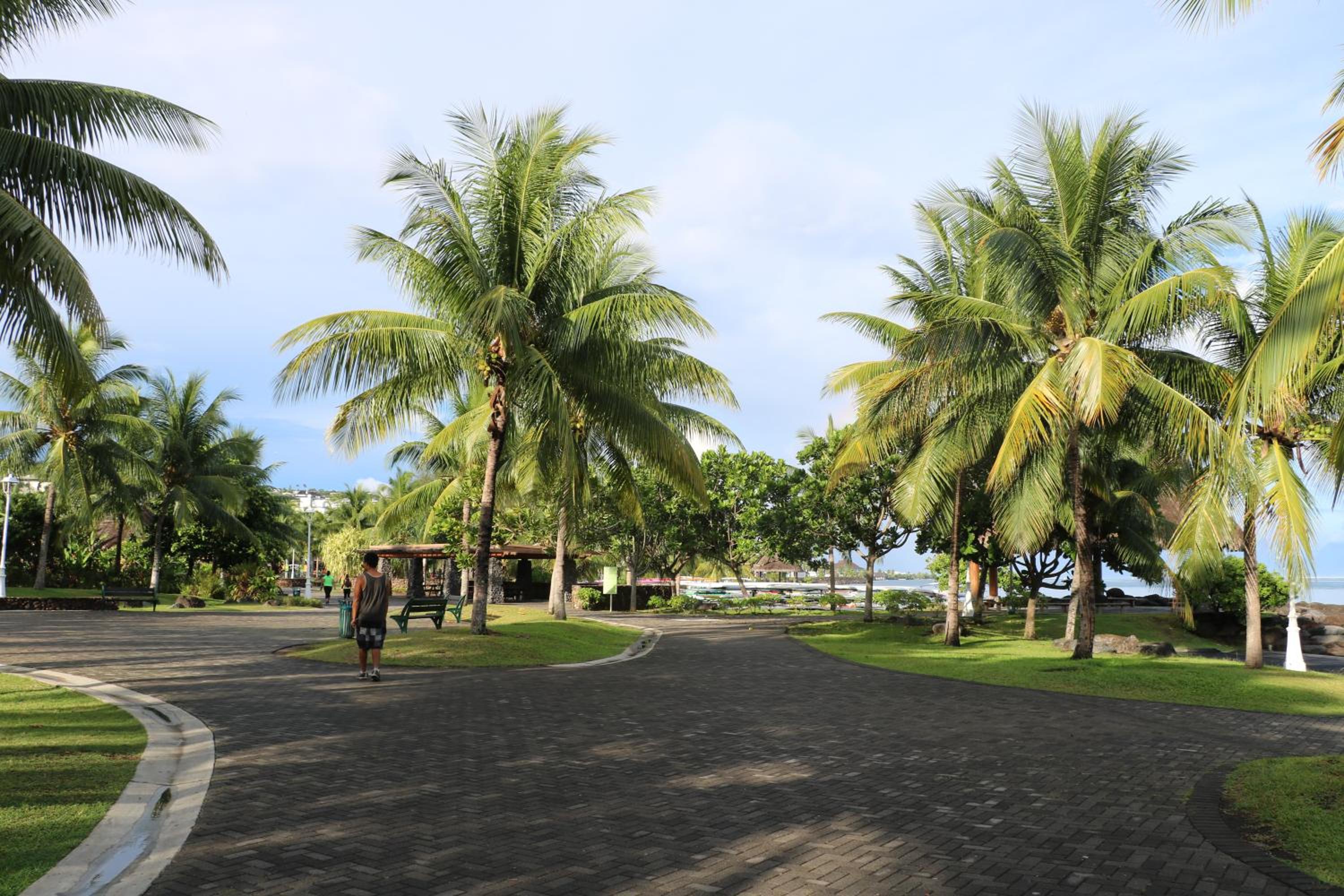Mahana Lodge Hostel & Backpacker