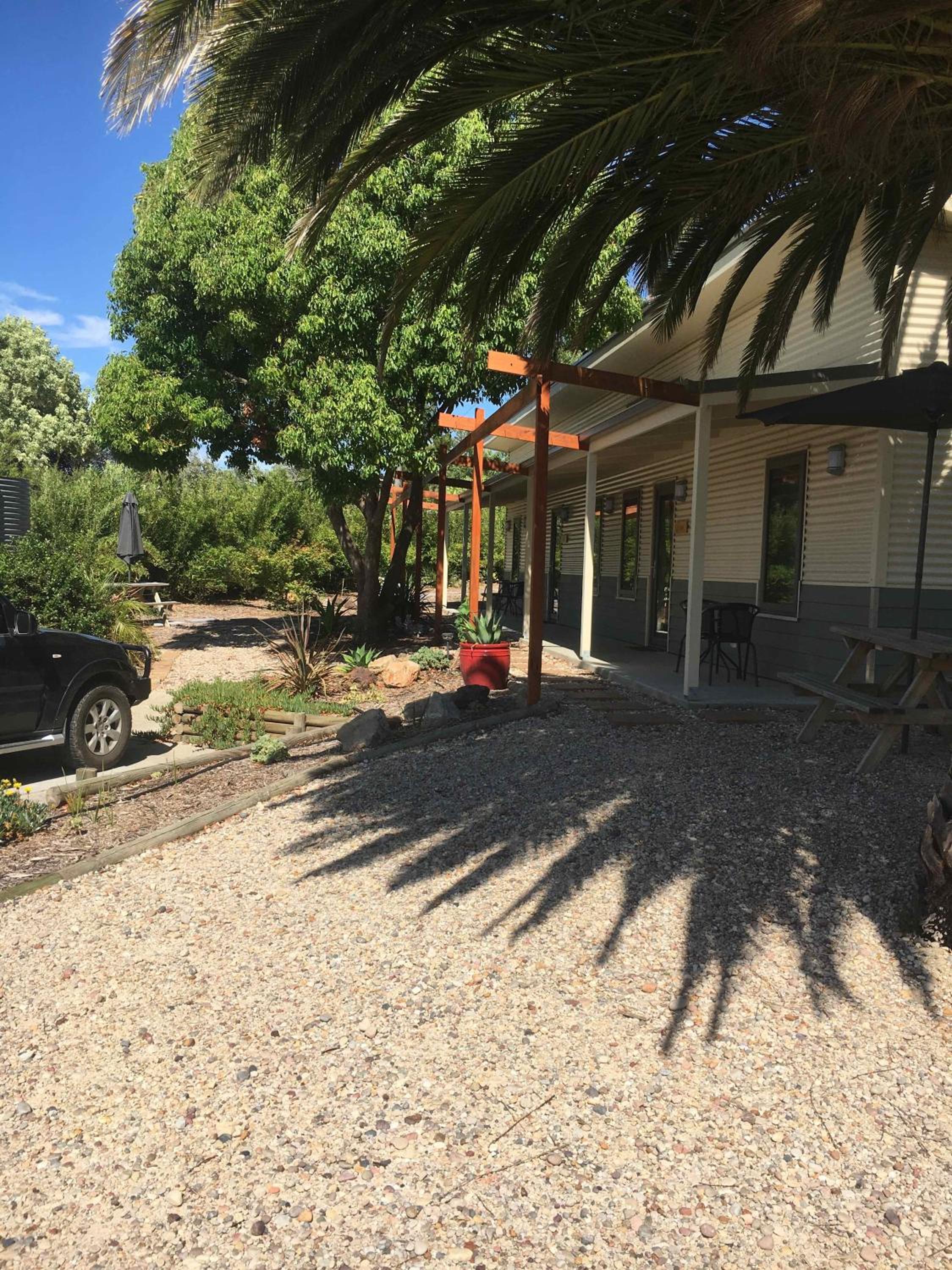 The Grape and Olive at Willunga