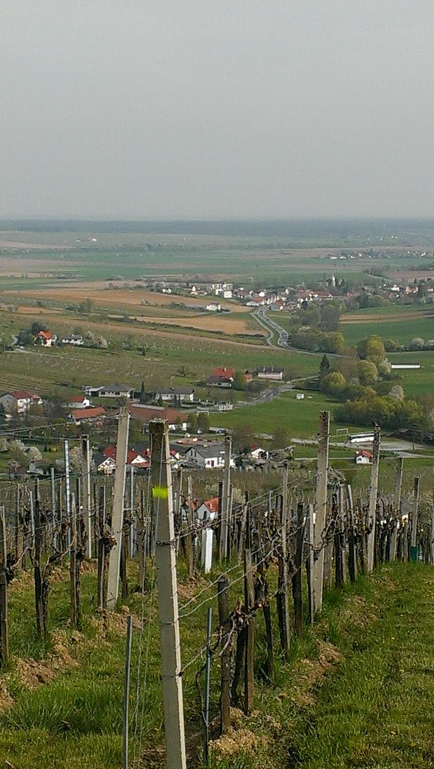Kellerstöckl Kamper