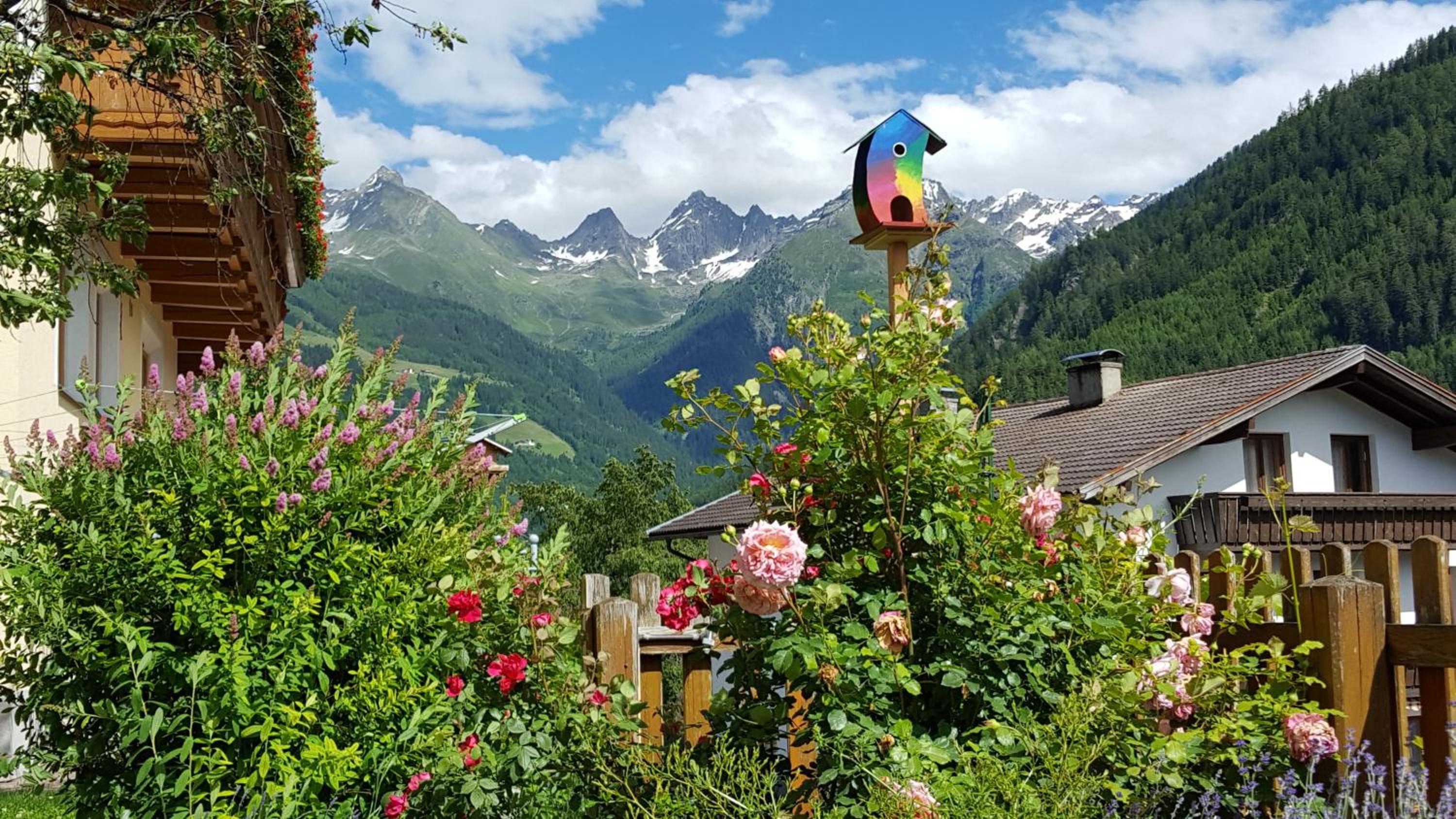 Photo 25