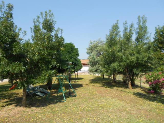 Photo 57