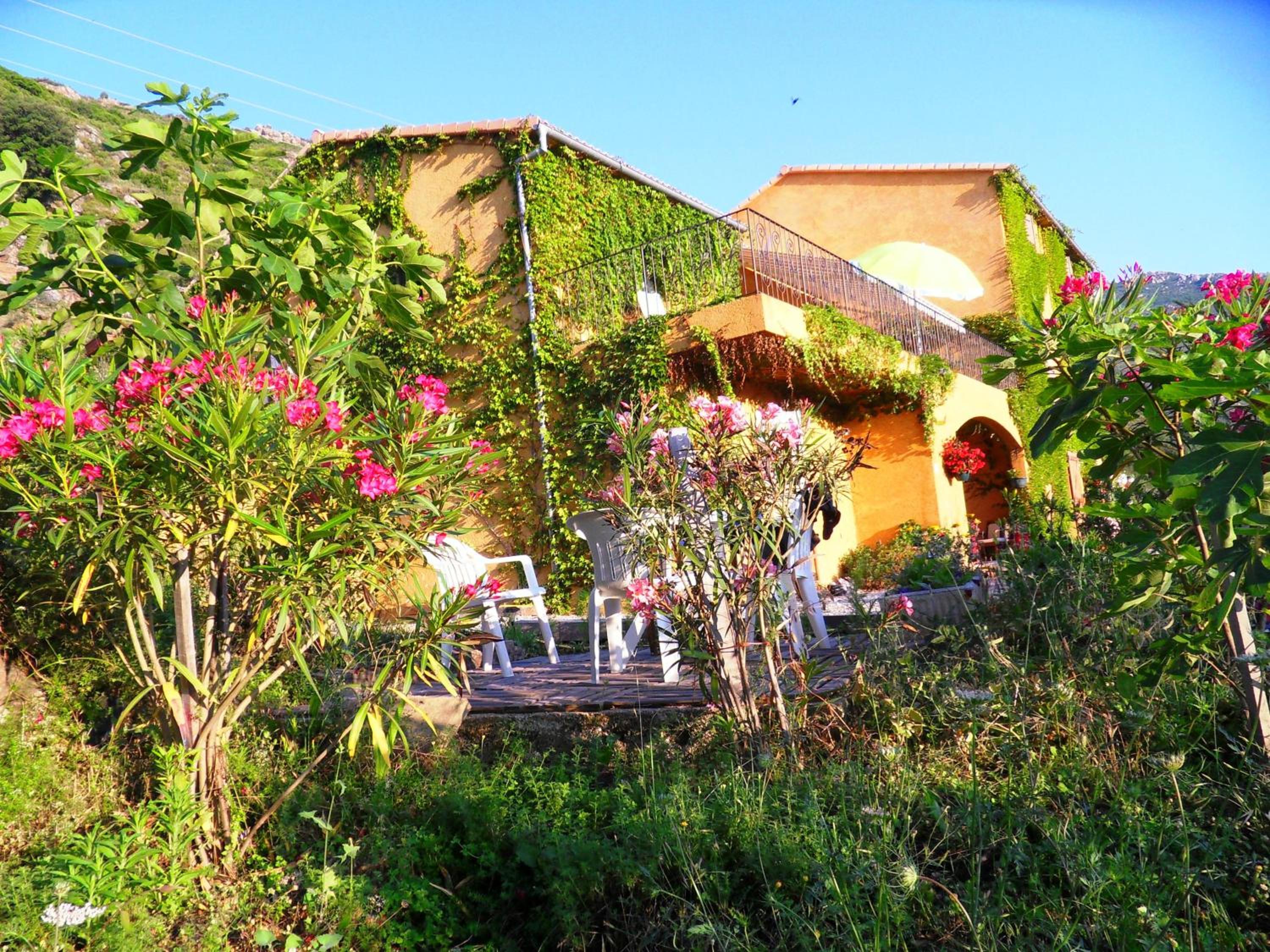 Photo 7