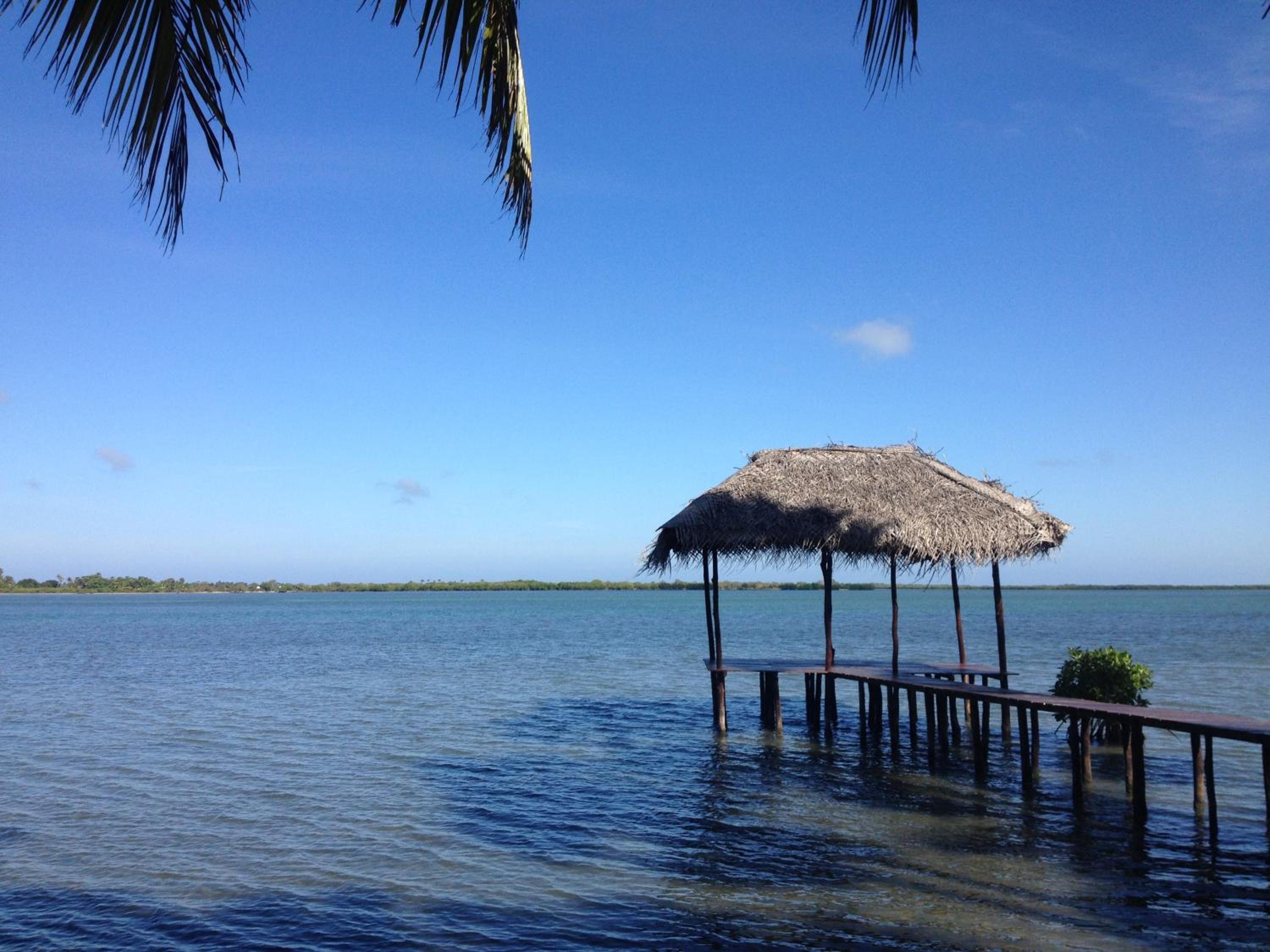 Photo 19