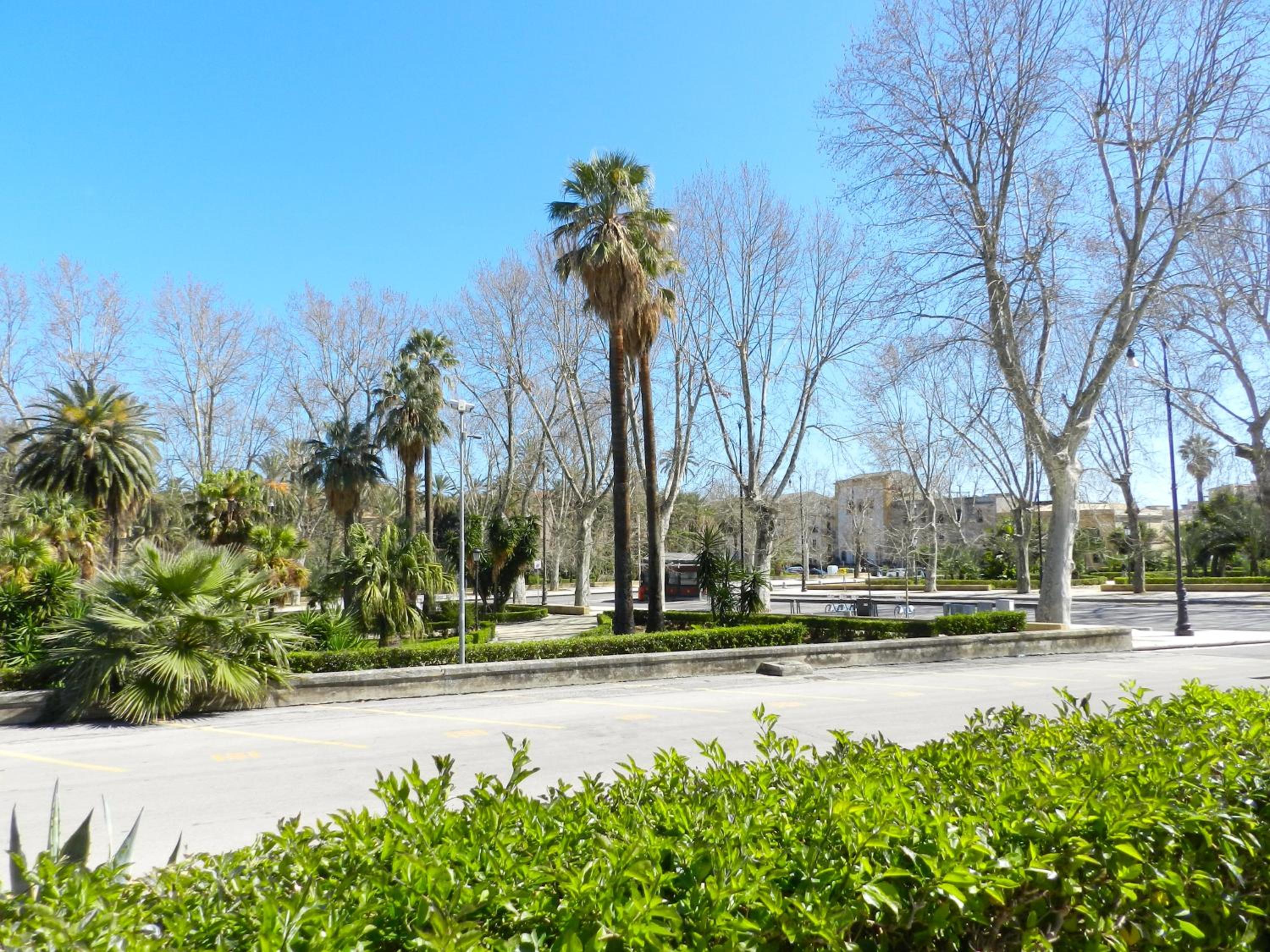 Orleans Apartments