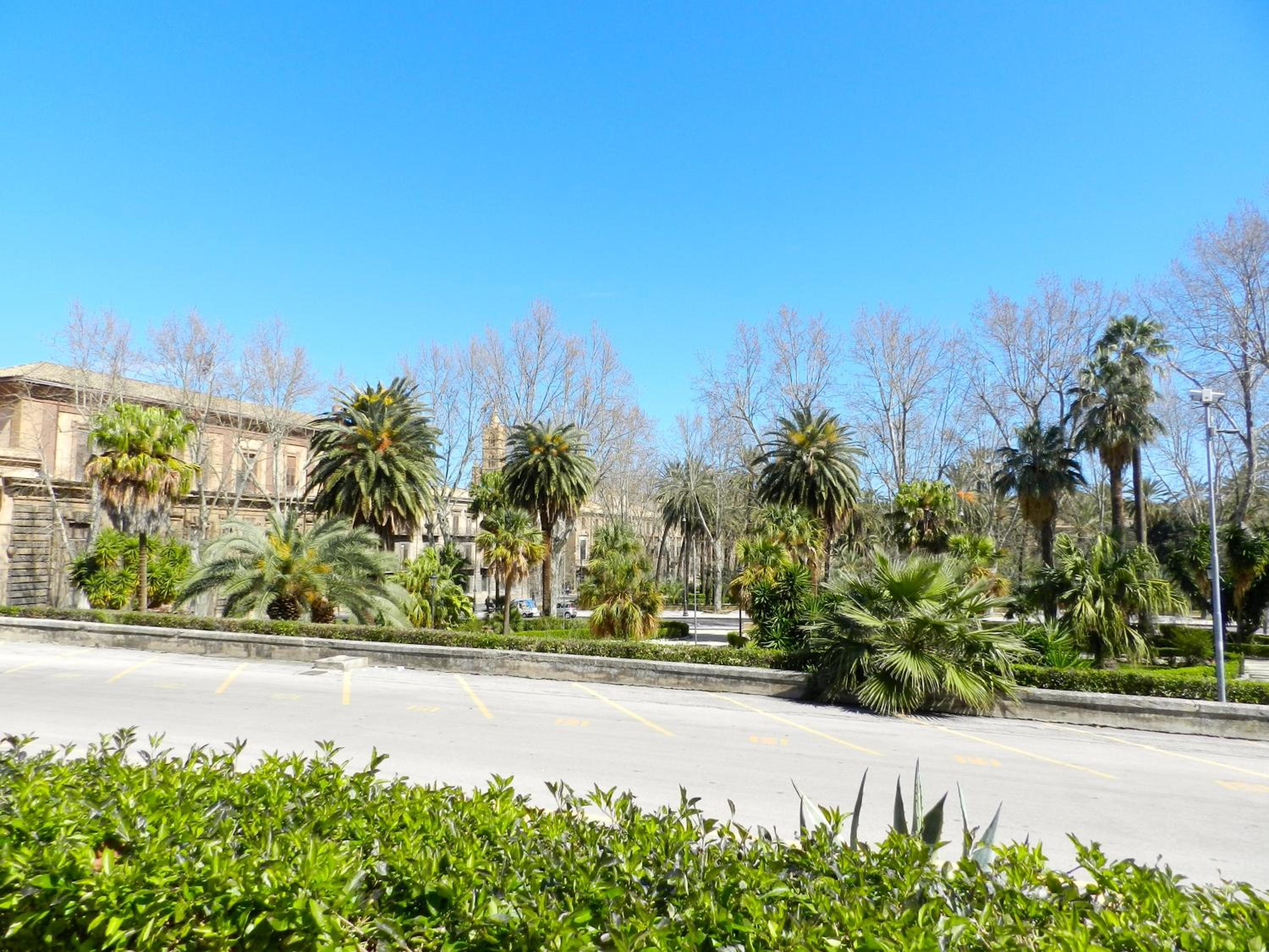 Orleans Apartments