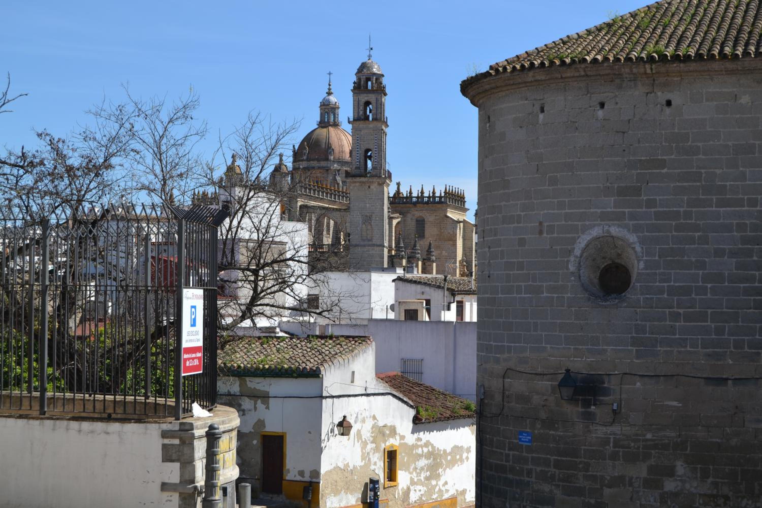 Photo 21