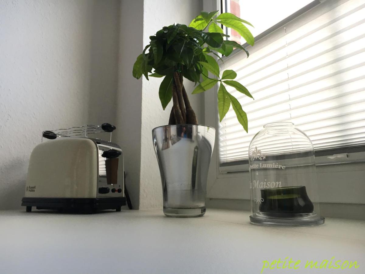 petite maison, photo 21