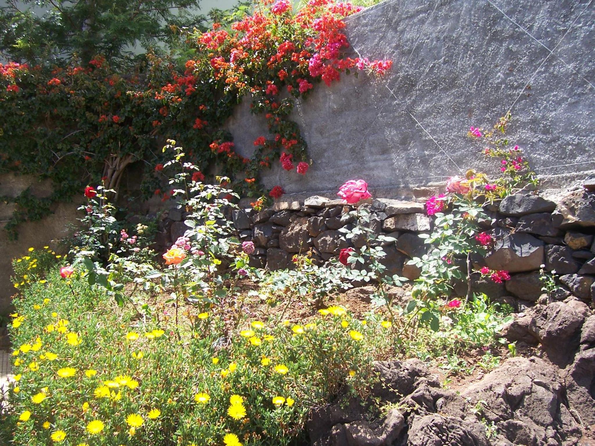 Photo 66