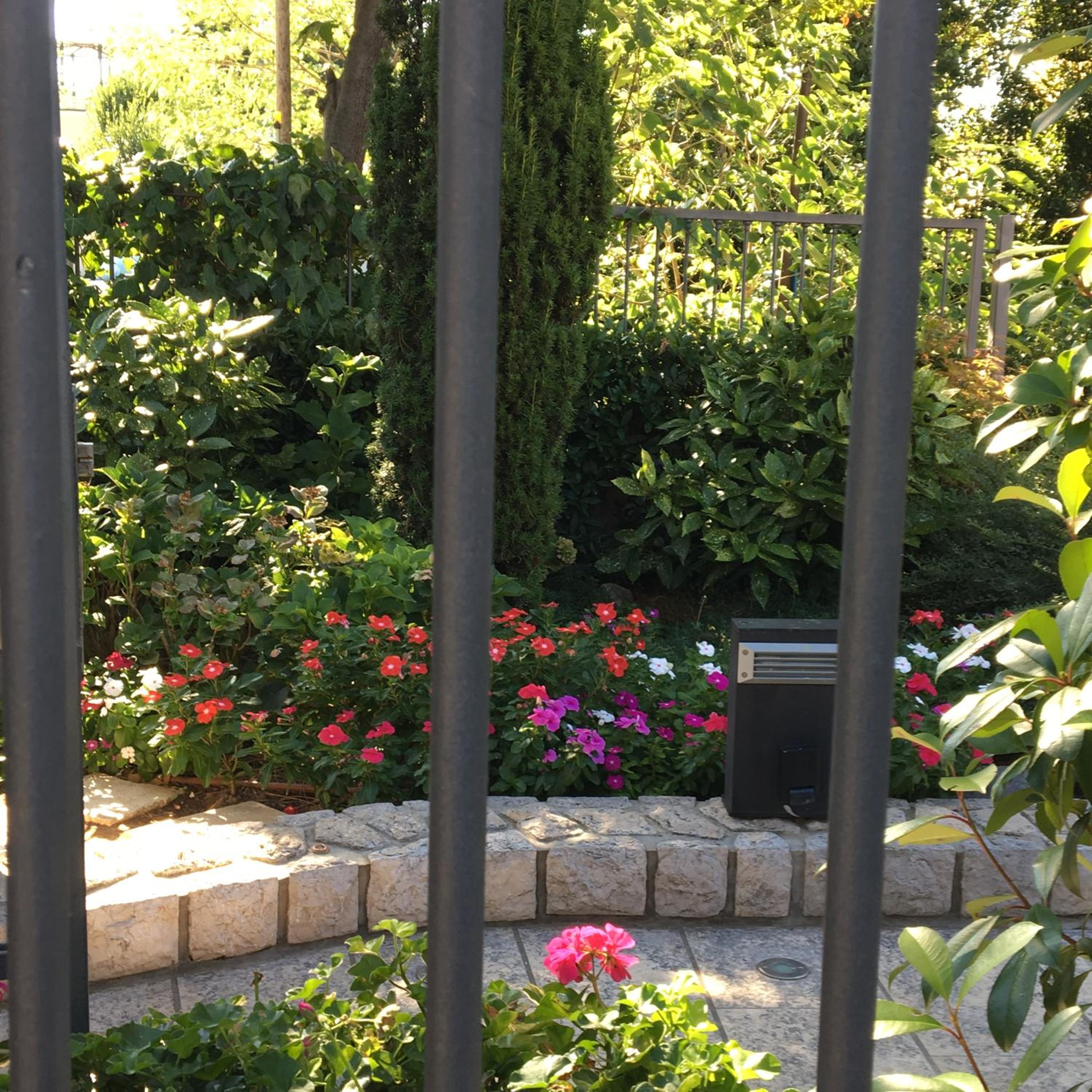 Photo 16