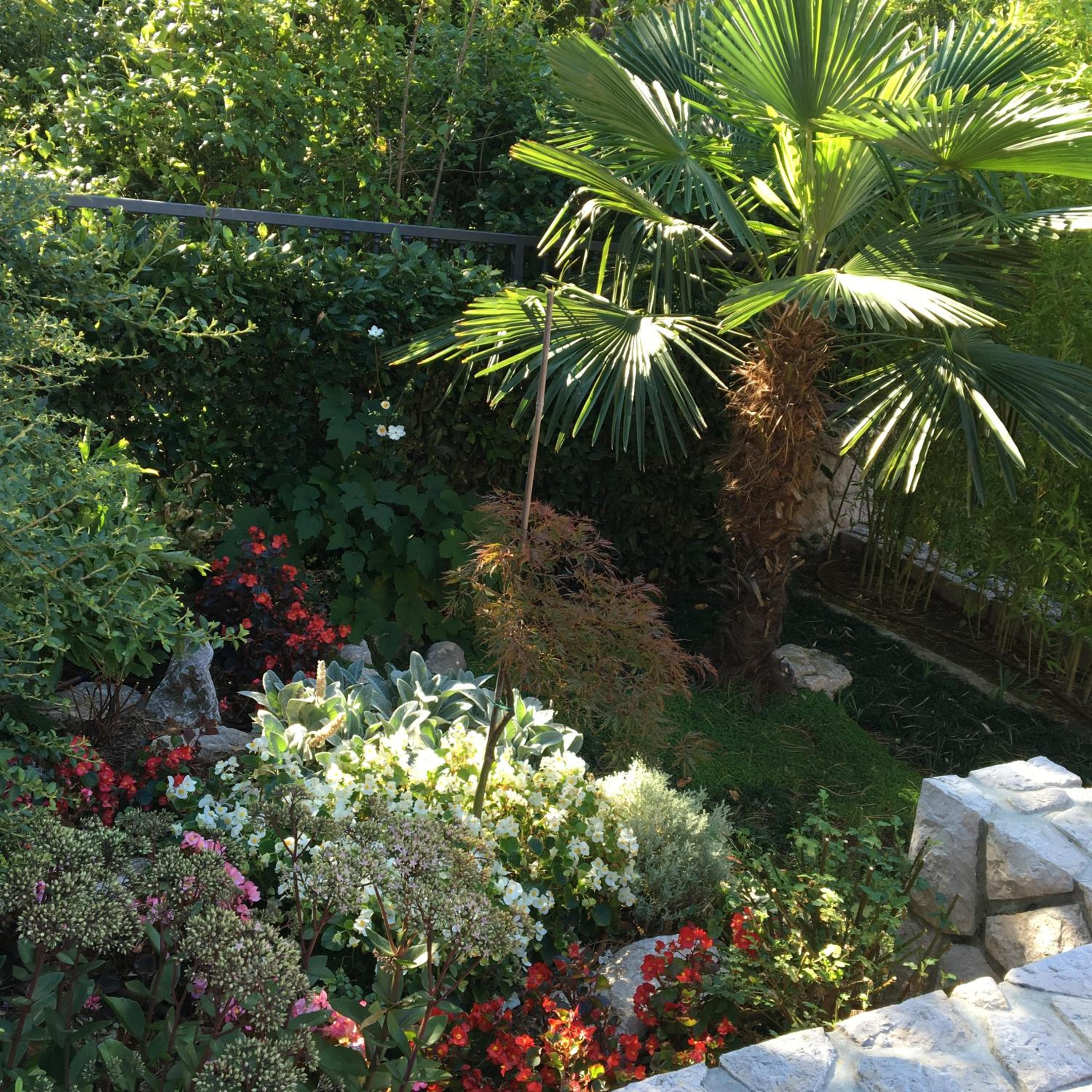Photo 40