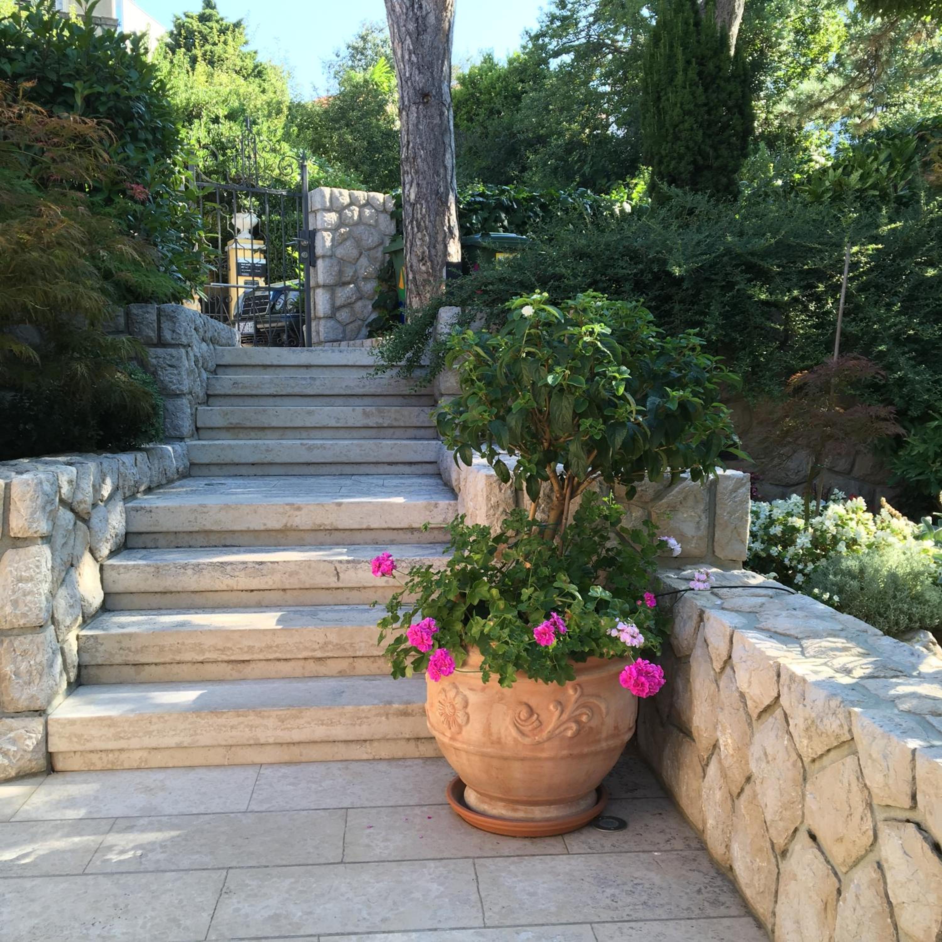 Photo 43