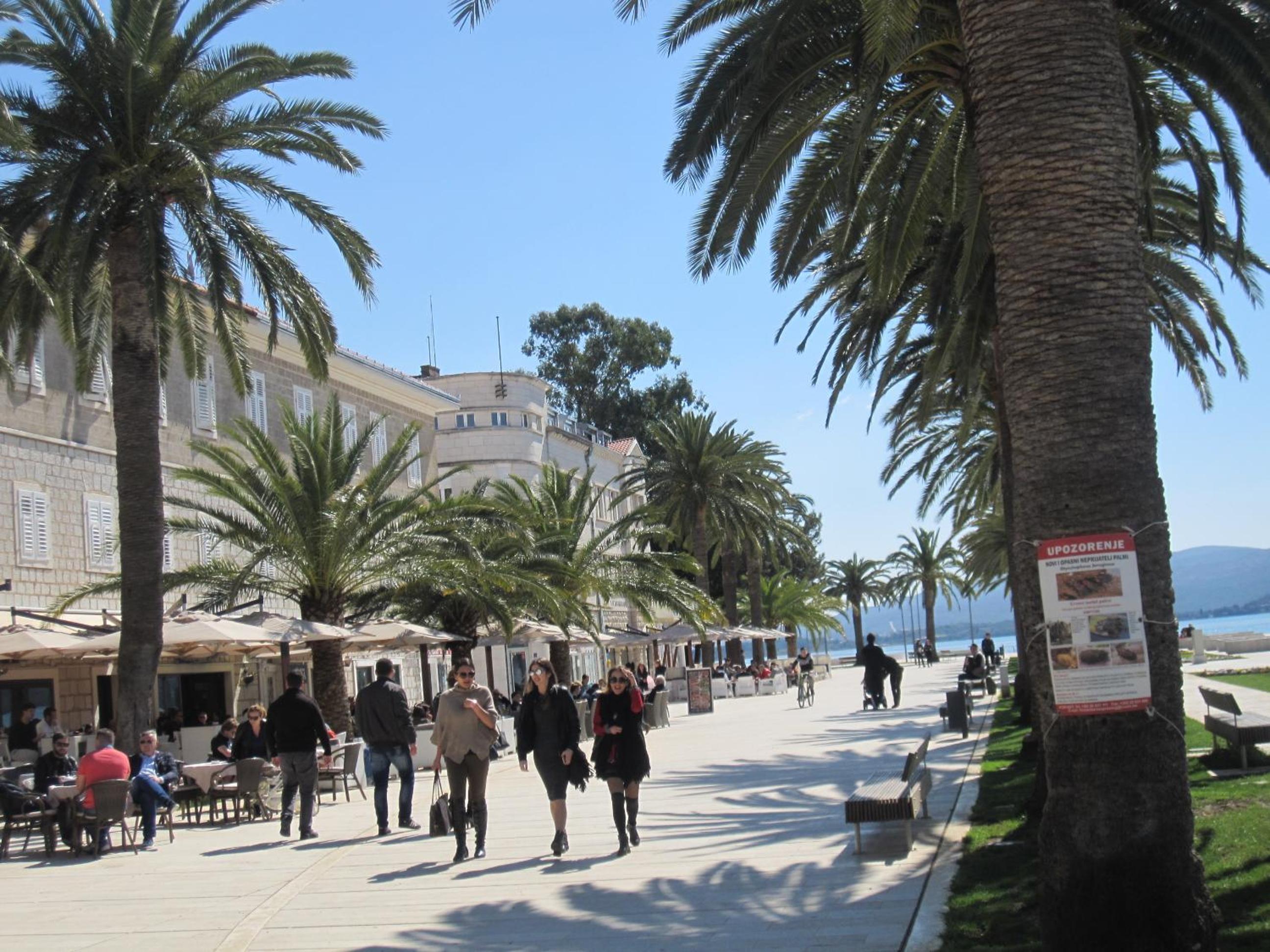 Apartments Delfin