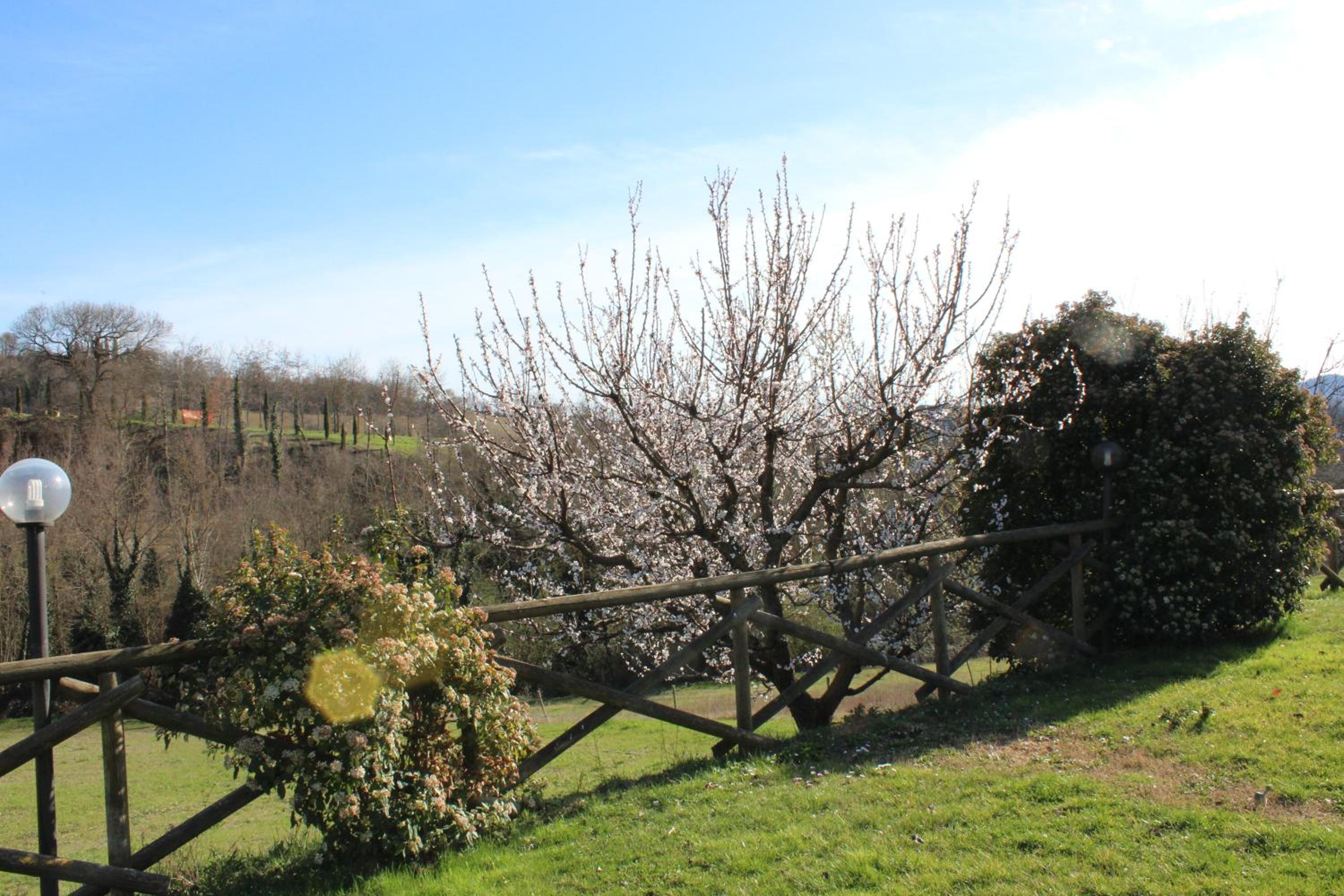 Fattoria di Rigone