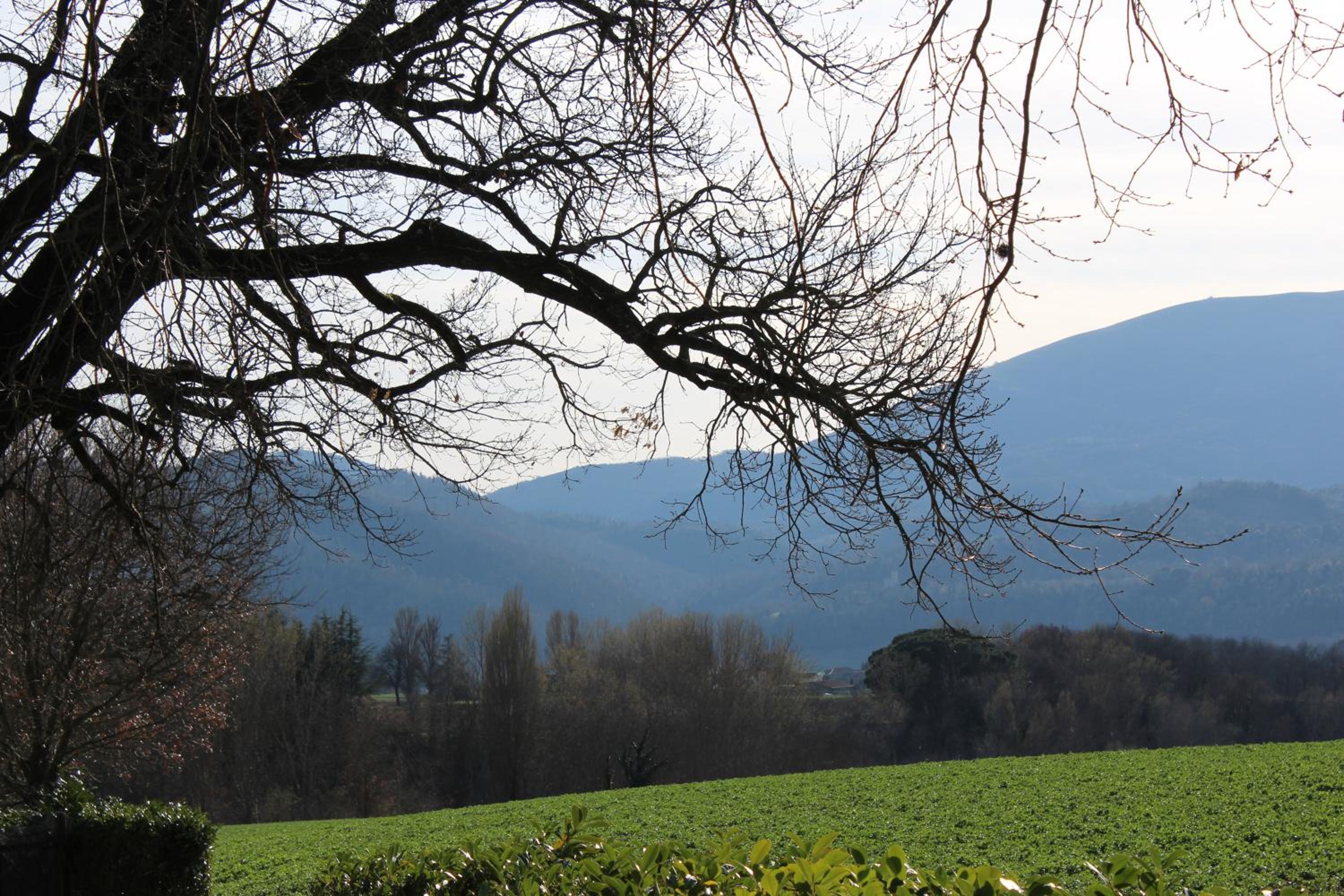 Fattoria di Rigone