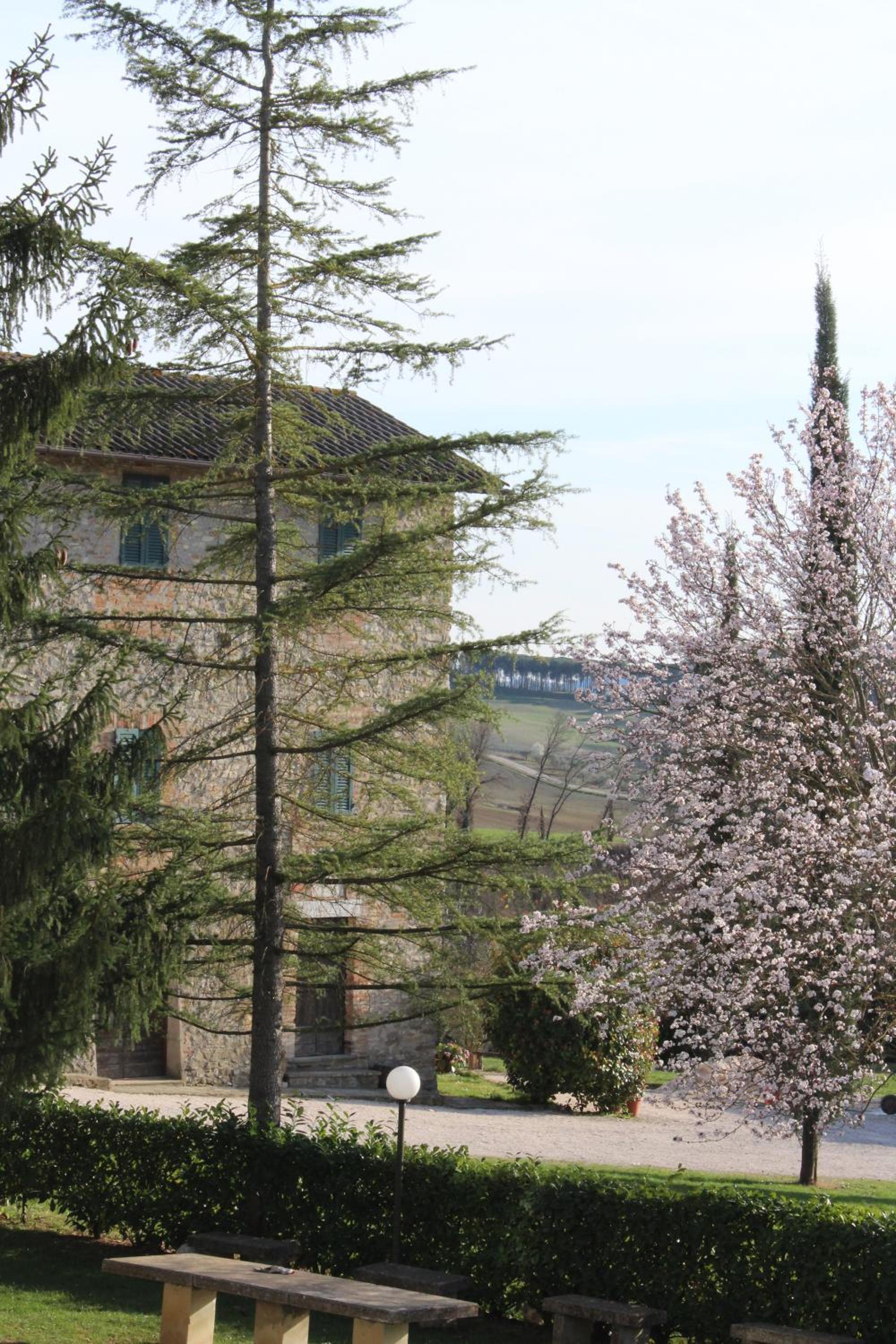 Fattoria di Rigone