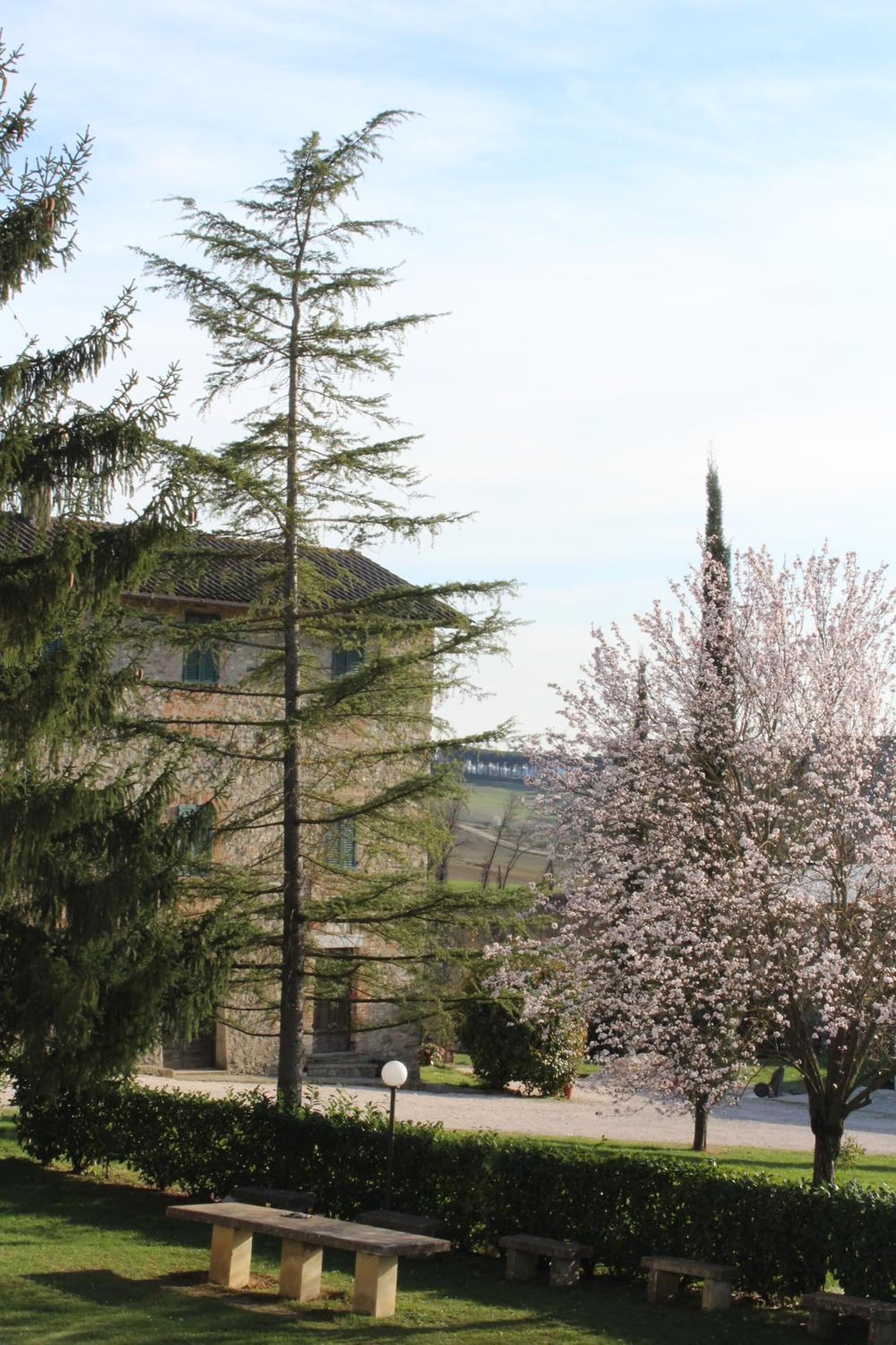 Fattoria di Rigone