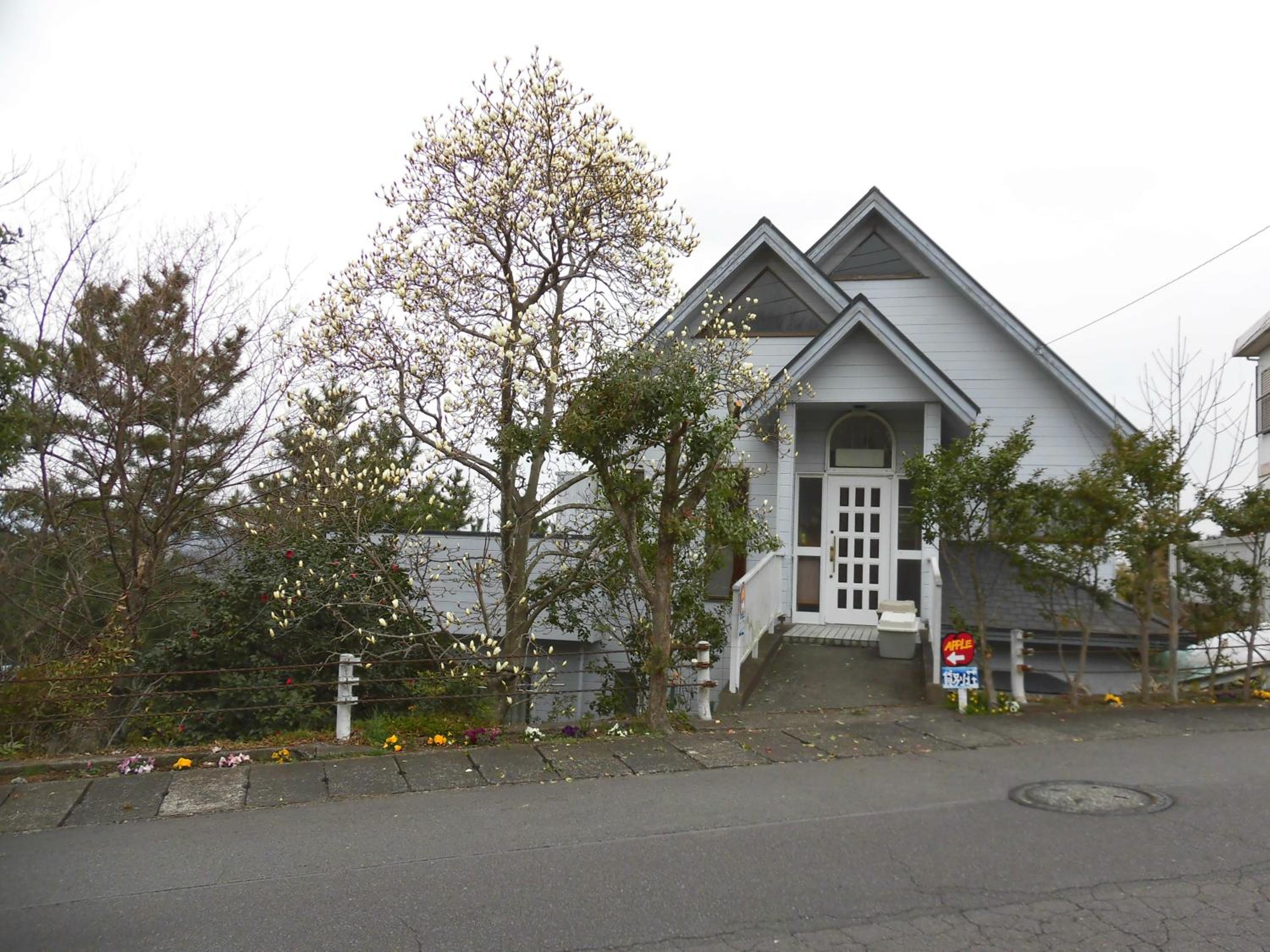 Photo 7