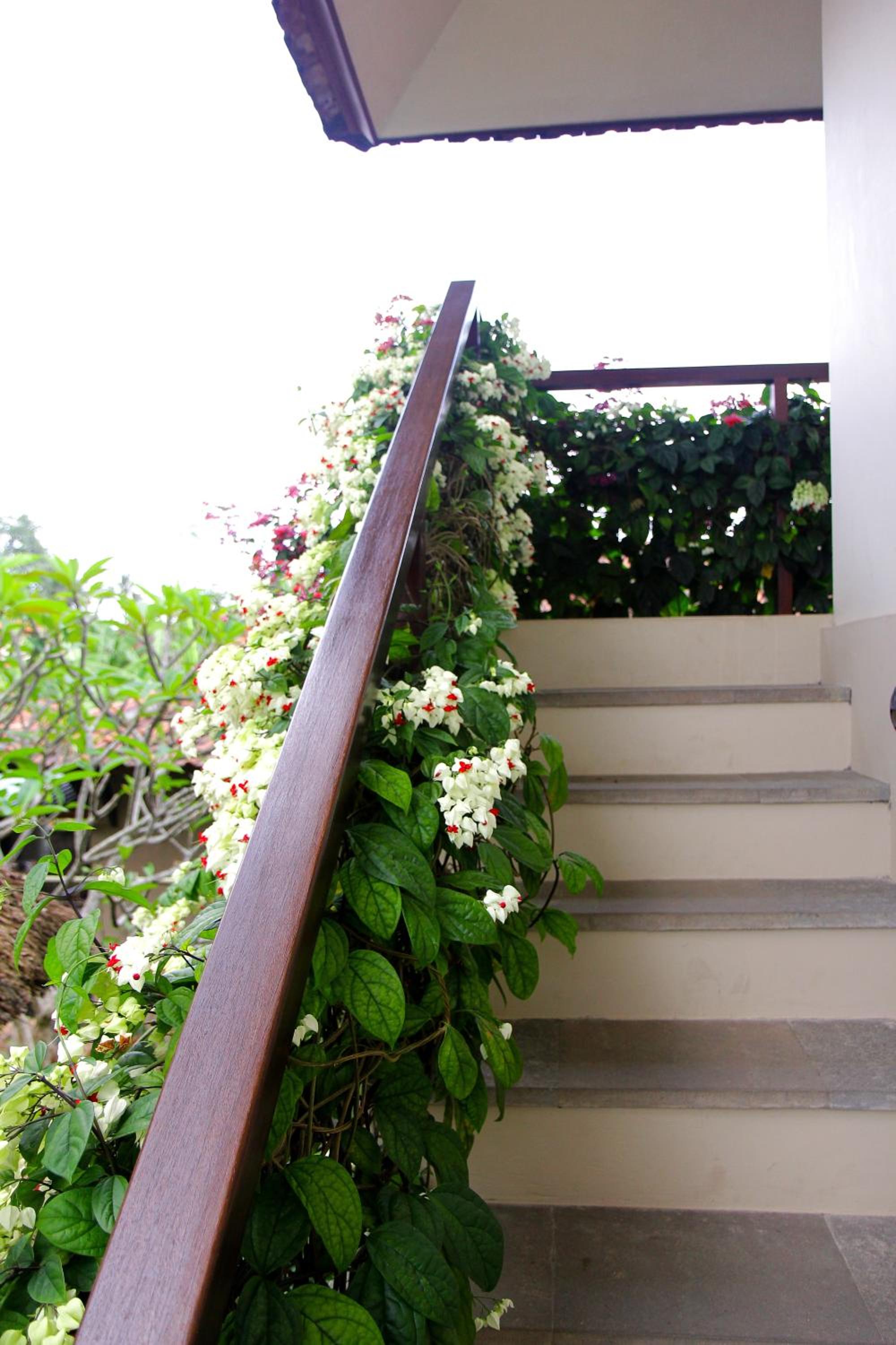 Rumah Taman