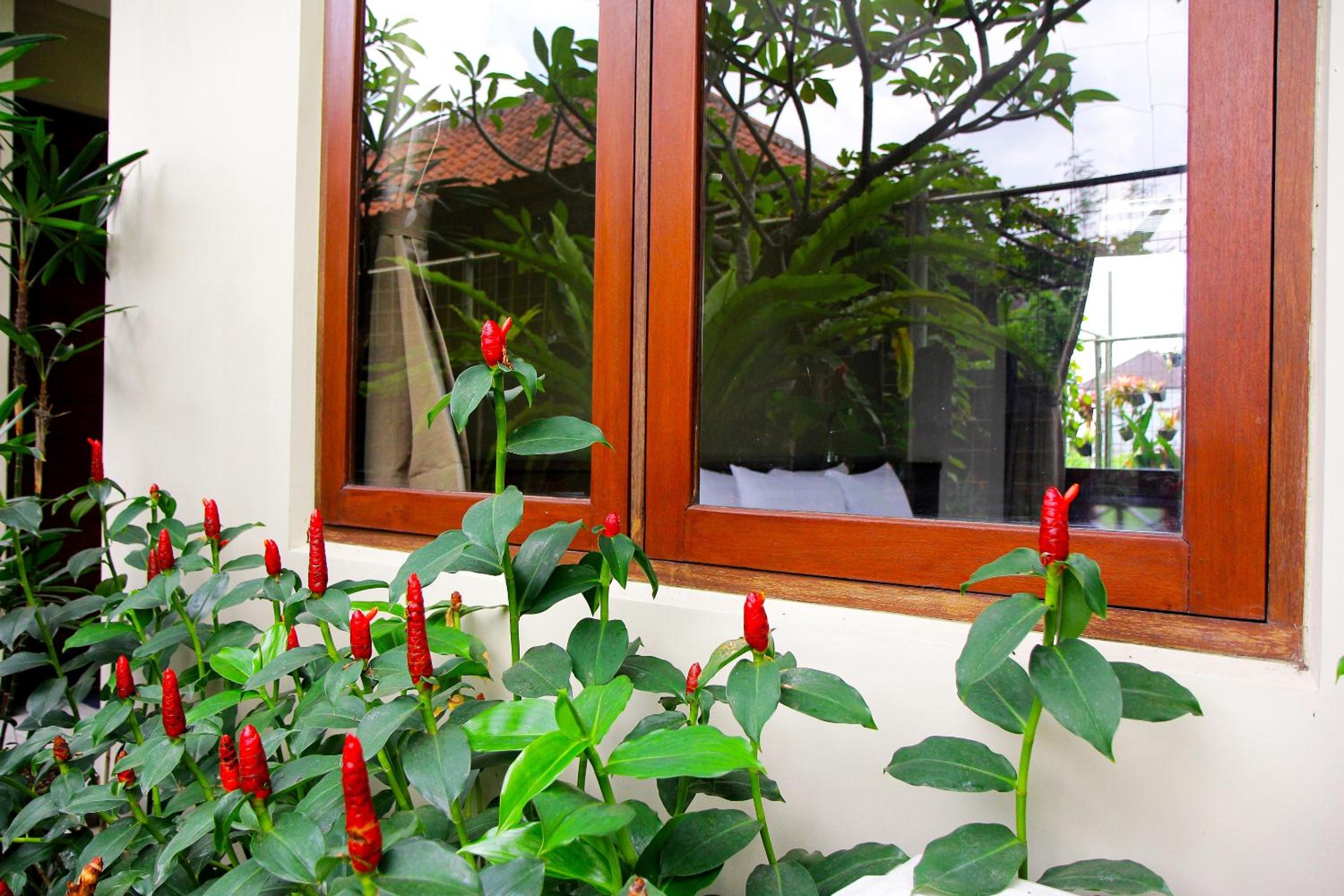 Rumah Taman